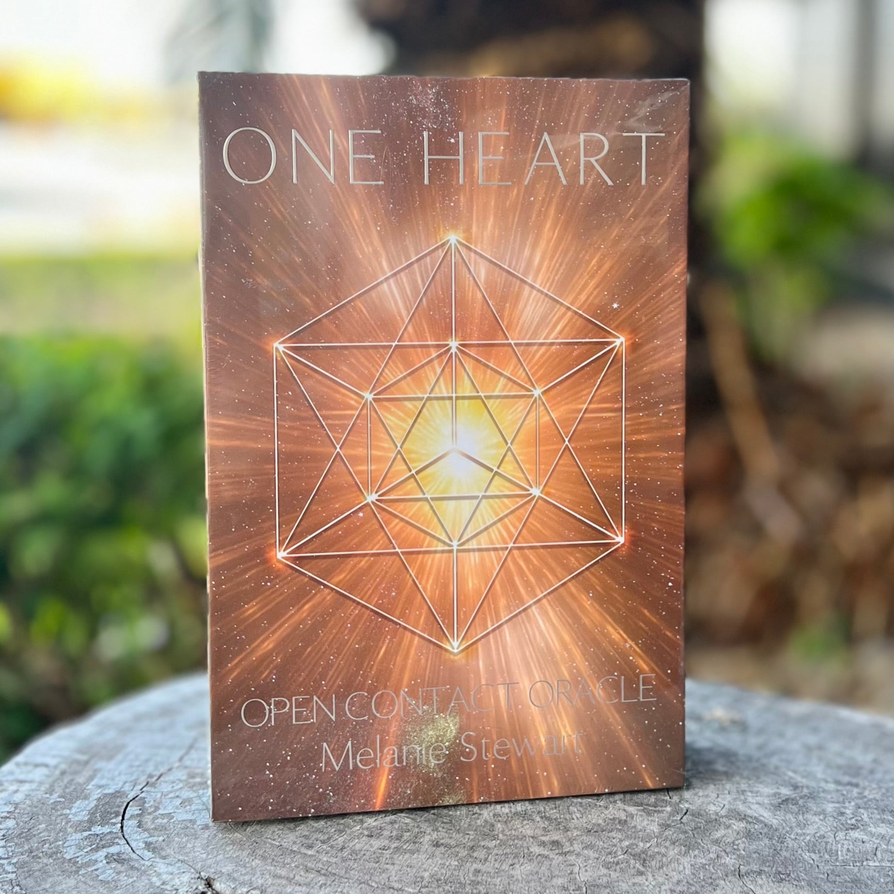 One Heart ~ Open Contact Oracle ~ Melanie Stewart