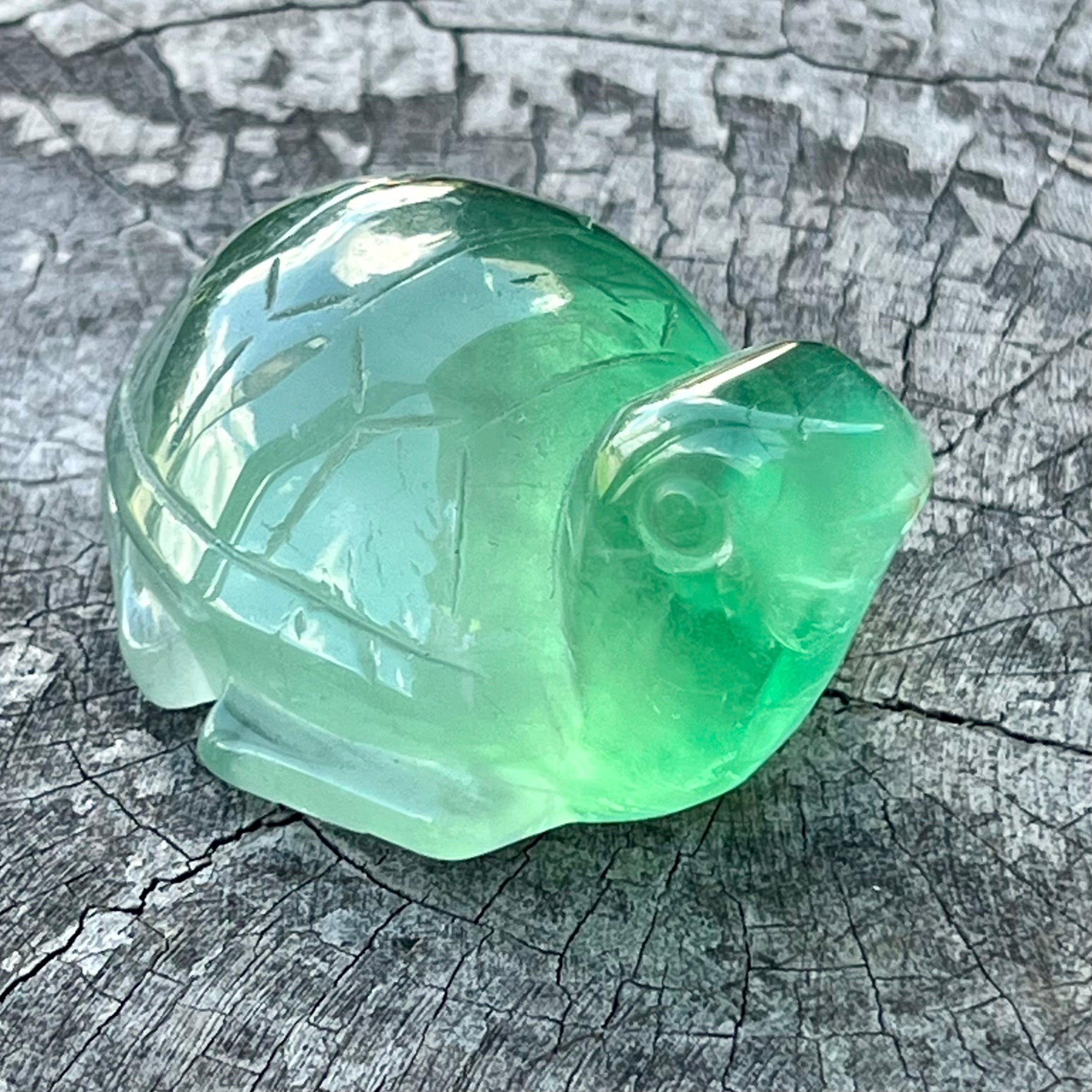 Green Fluorite ~  Turtle Carving