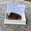 Peanut Wood ~ Specialty Boxed Crystal