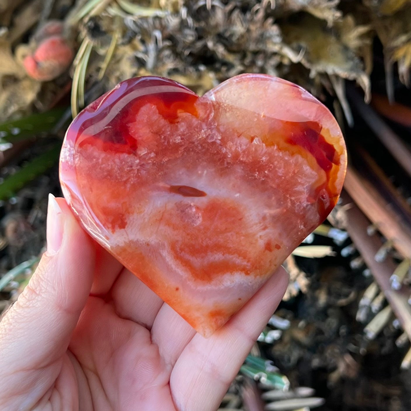 Carnelian Heart