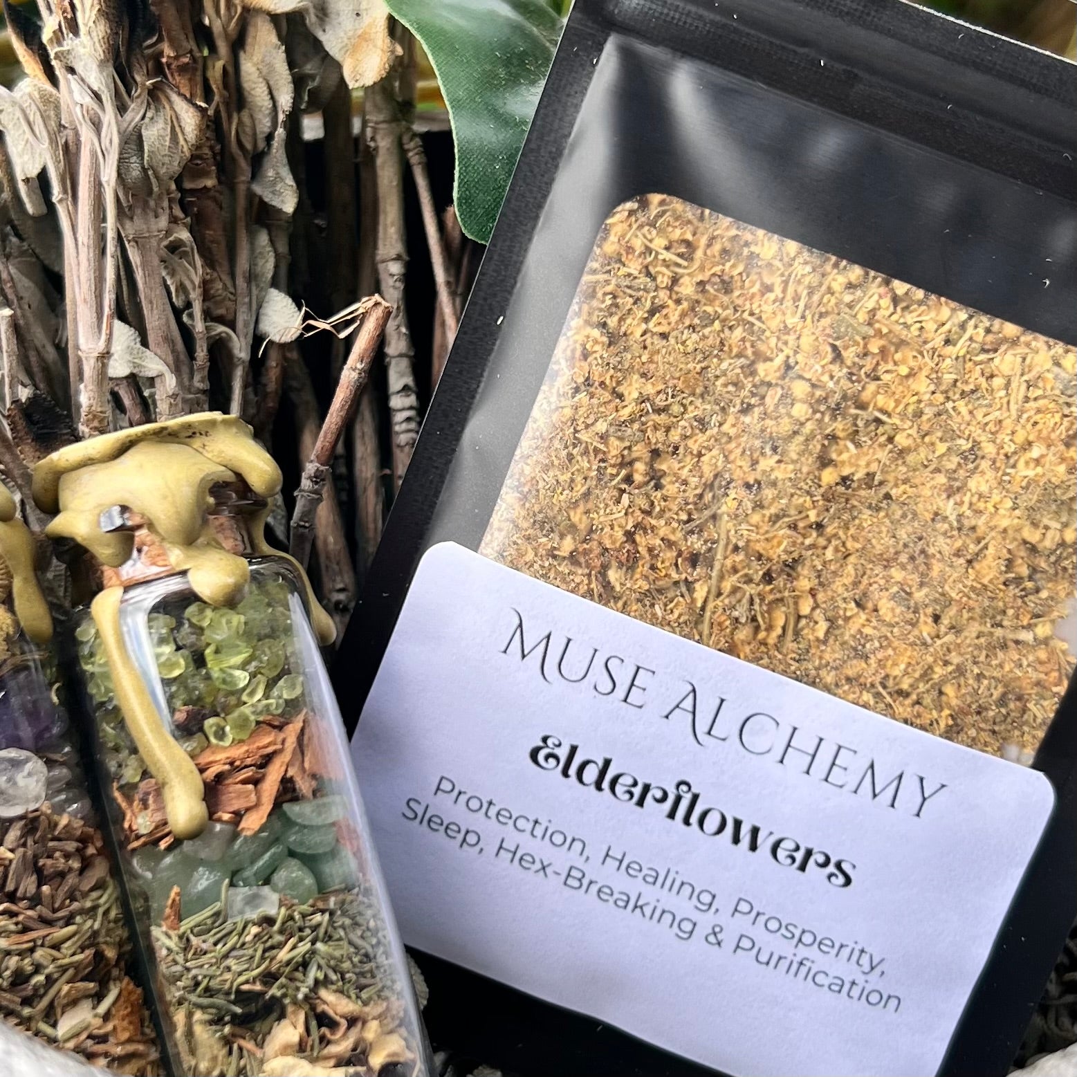 Elderflowers ~ Muse Alchemy Botanicals