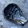 Angel Wing Trinket Bowl ~ Black