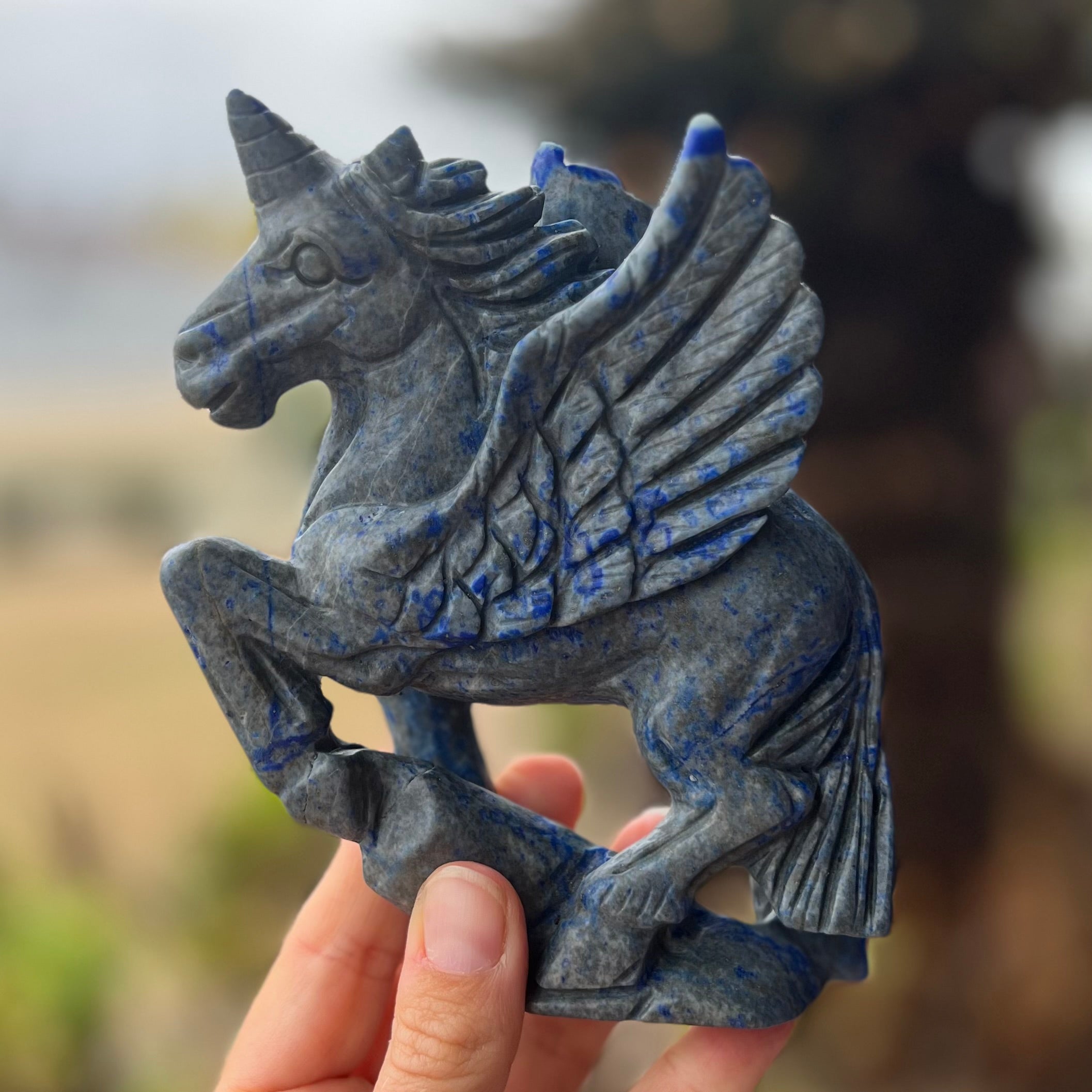 Lapis Lazuli Pegasus