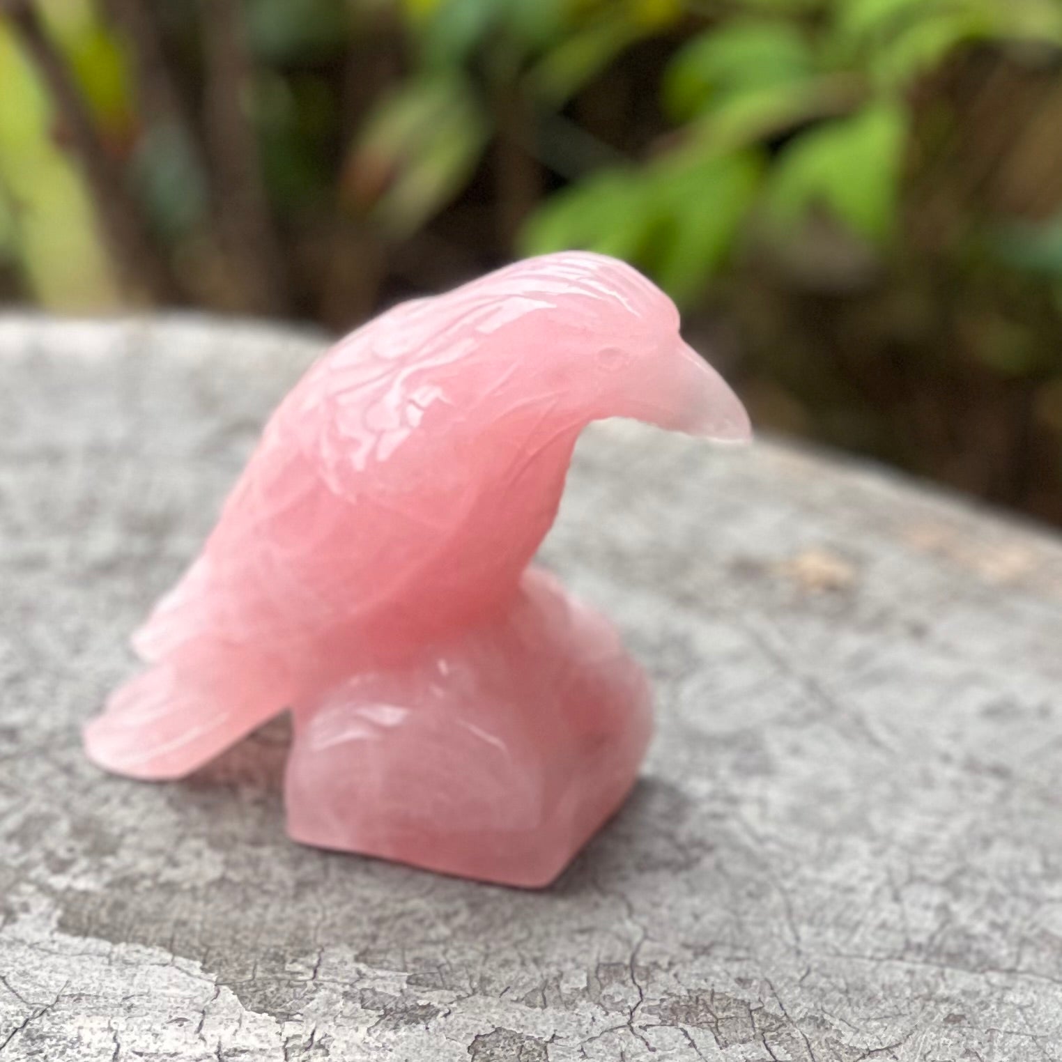 Raven Carving ~ Rose Quartz