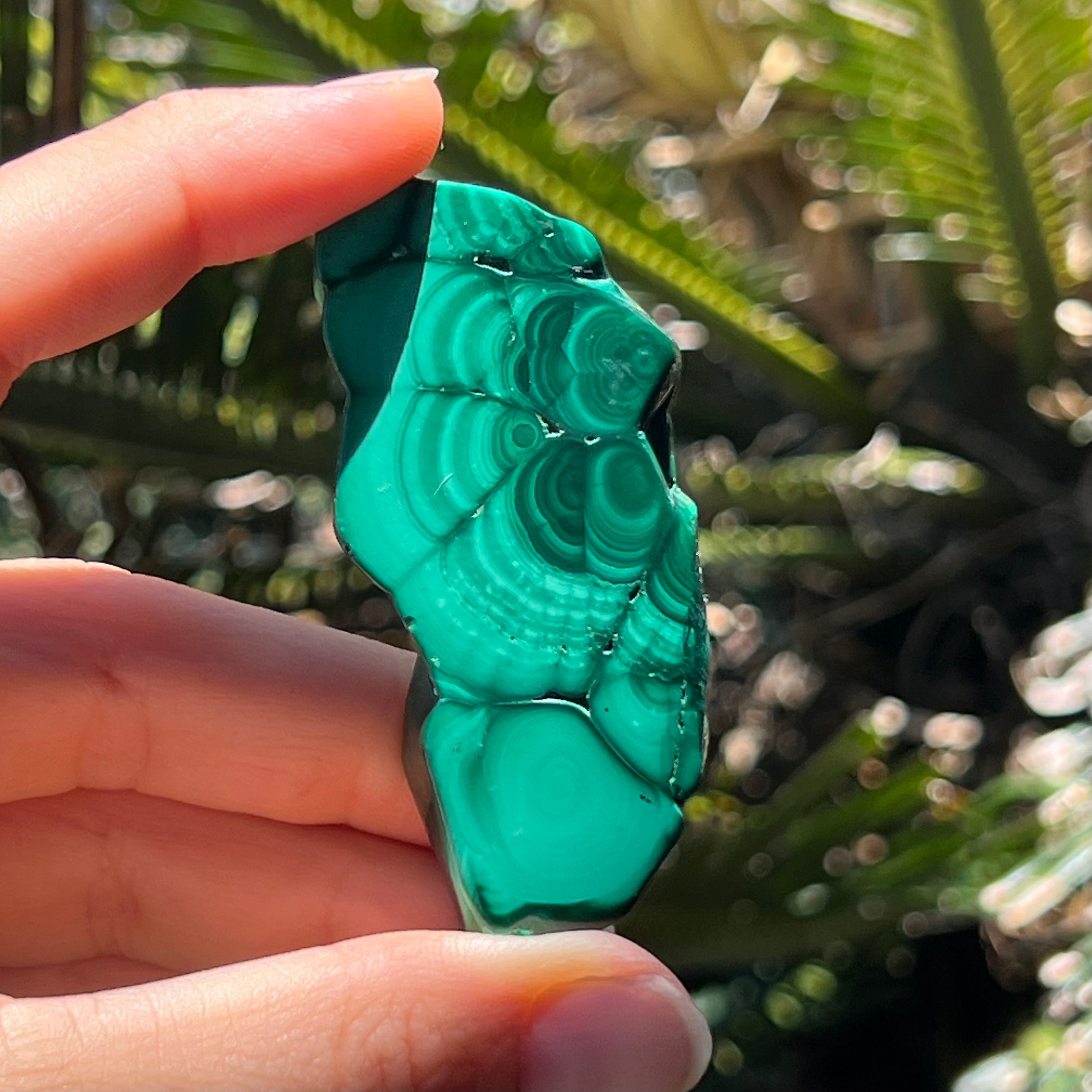 Malachite Slab ~ Transformation