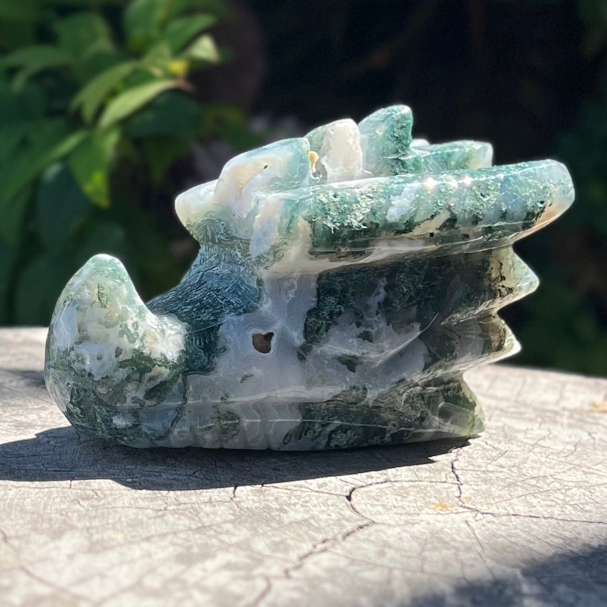 Moss Agate ~ Dragon Head