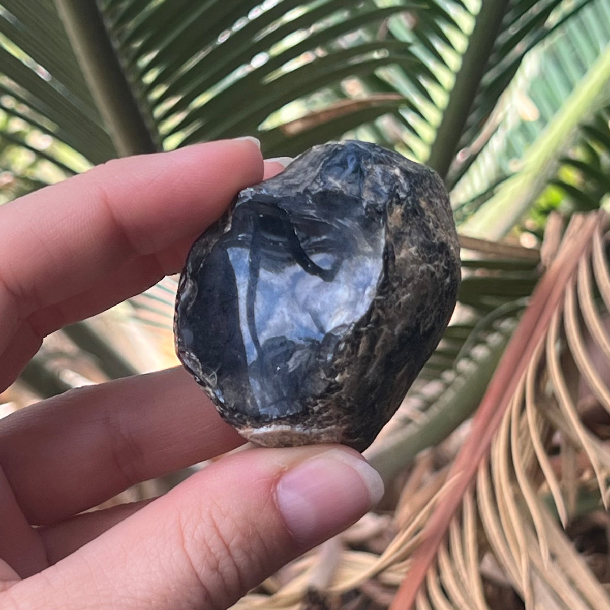 Apache Tears ~ Specialty Crystal