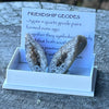 Agate Friendship Geodes ~ Specialty Boxed Crystal