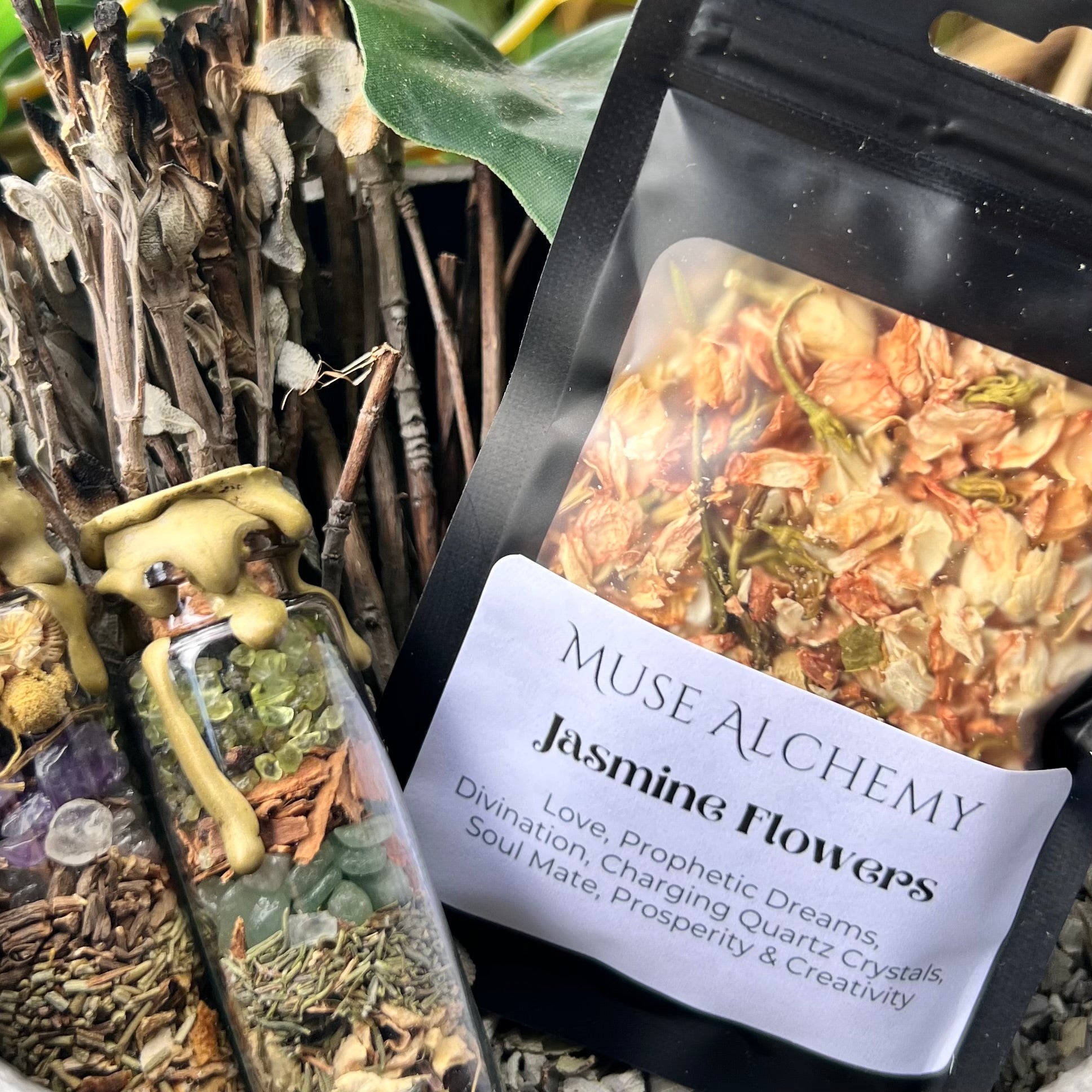 Jasmine Flowers ~ Muse Alchemy Botanicals