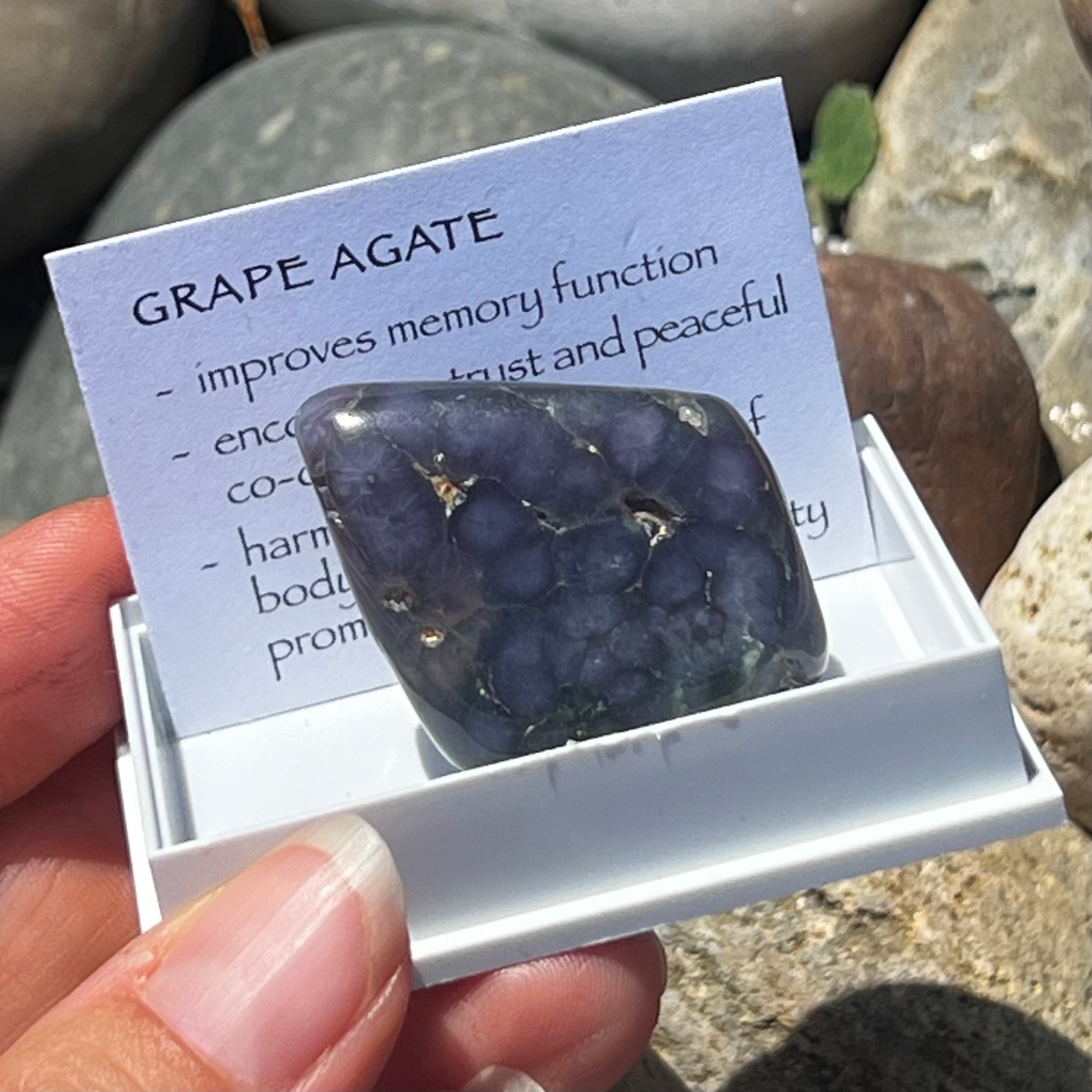 Grape Agate ~ Specialty Boxed Crystal