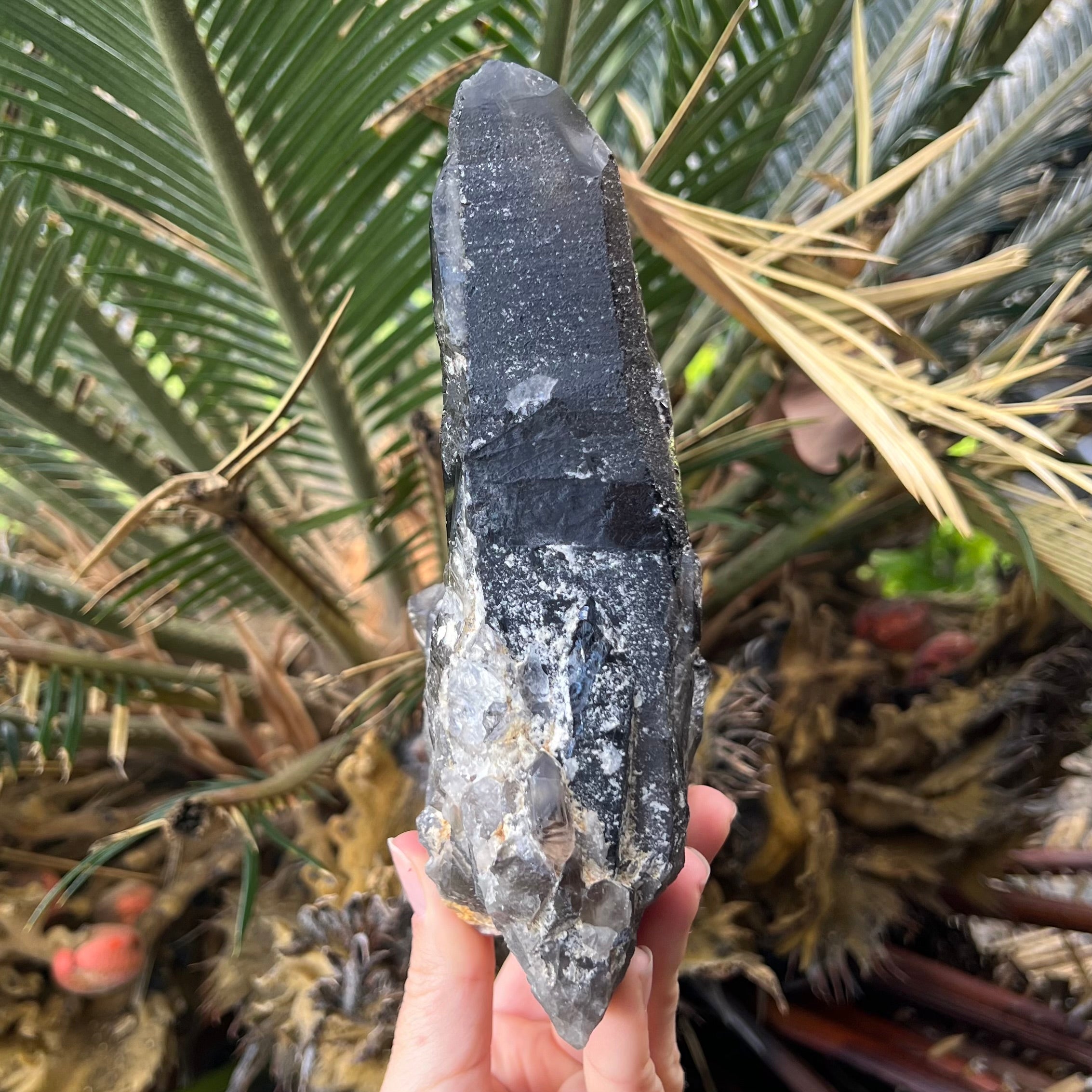 Natural Smoky Lemurian Quartz Cluster