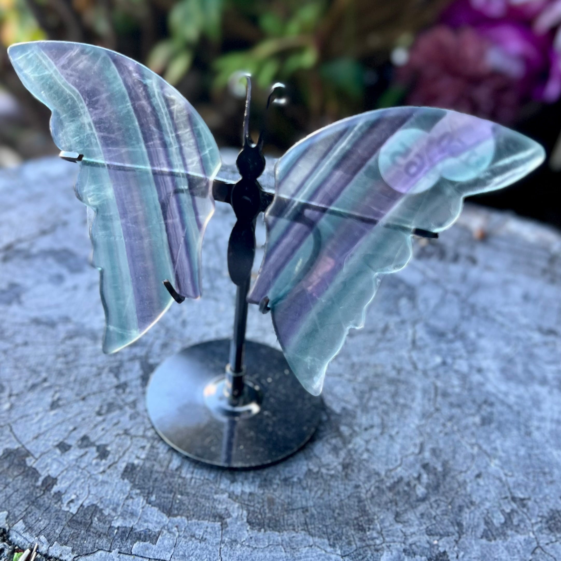 Rainbow Fluorite Butterfly Carving