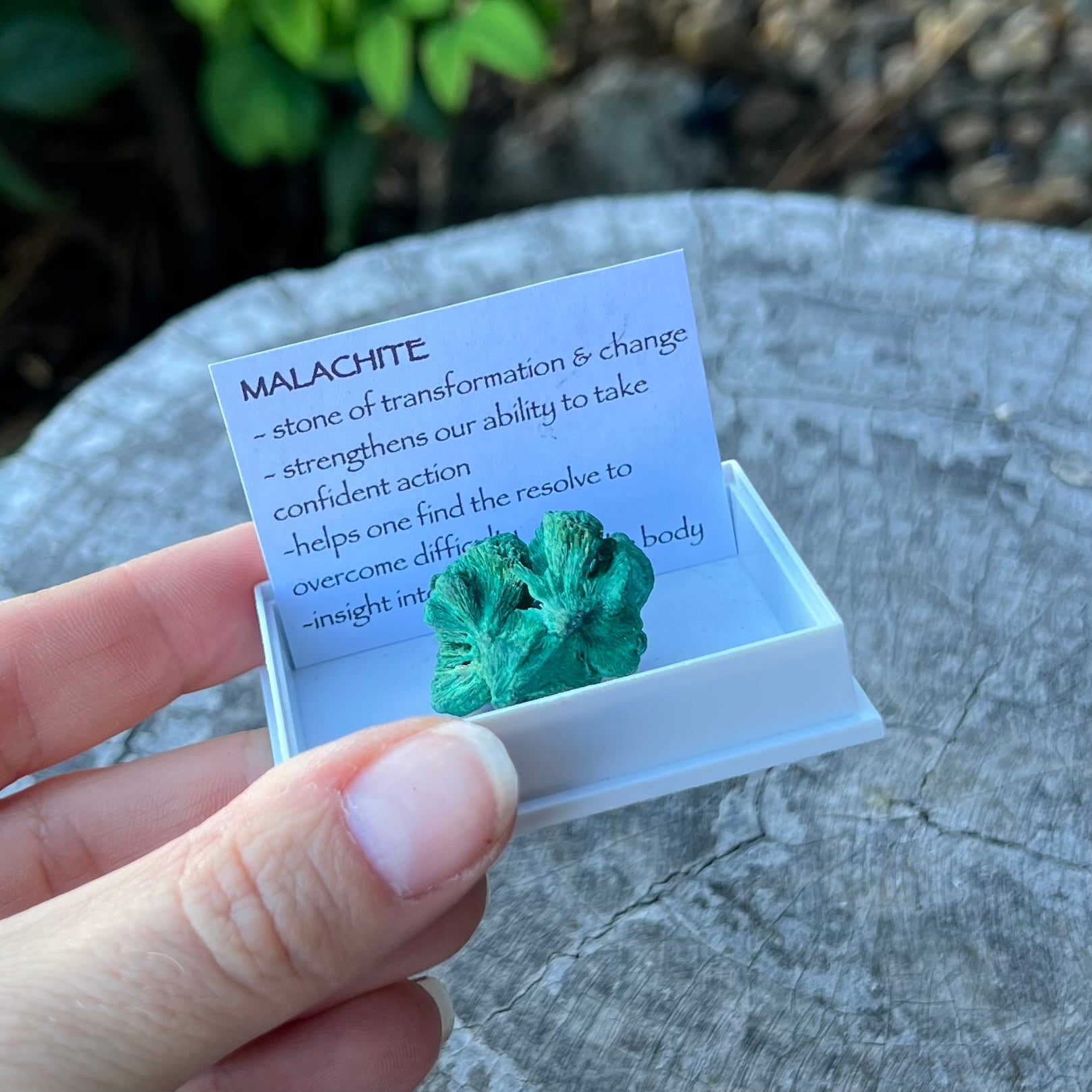 Malachite ~ Specialty Boxed Crystal
