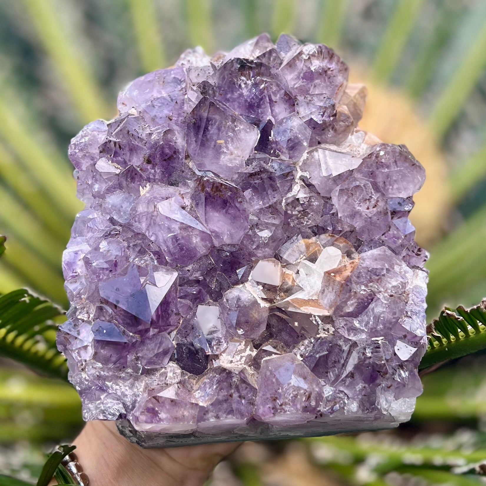 Amethyst Standing Cluster
