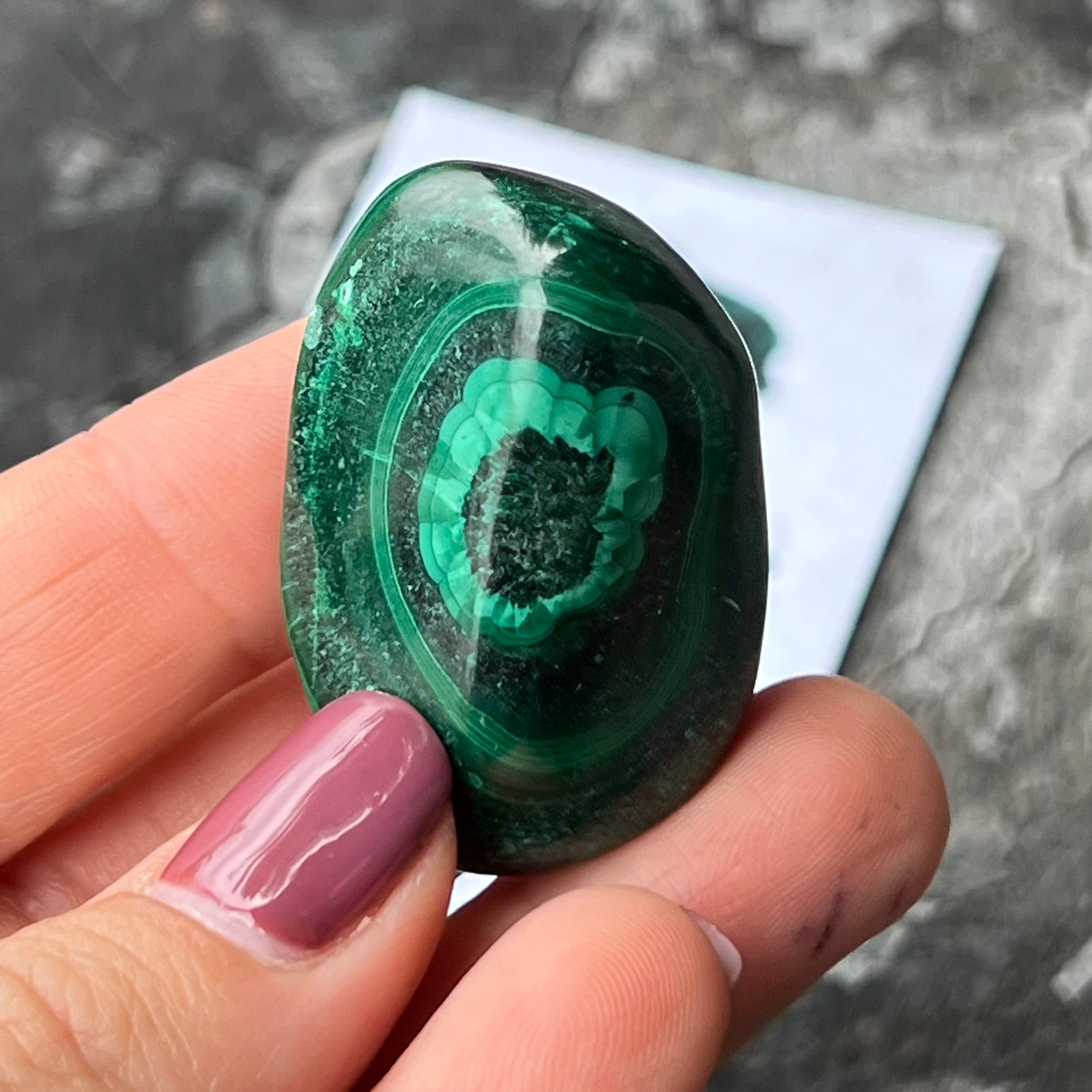 Malachite ~ Specialty Boxed Crystal