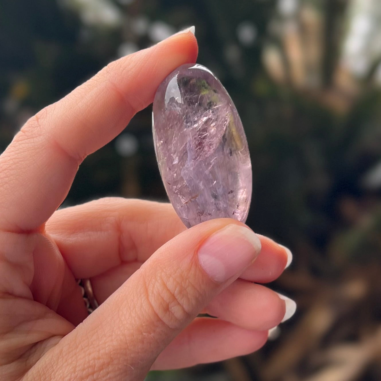 Ametrine  ~ Specialty Boxed Crystal ~ 5