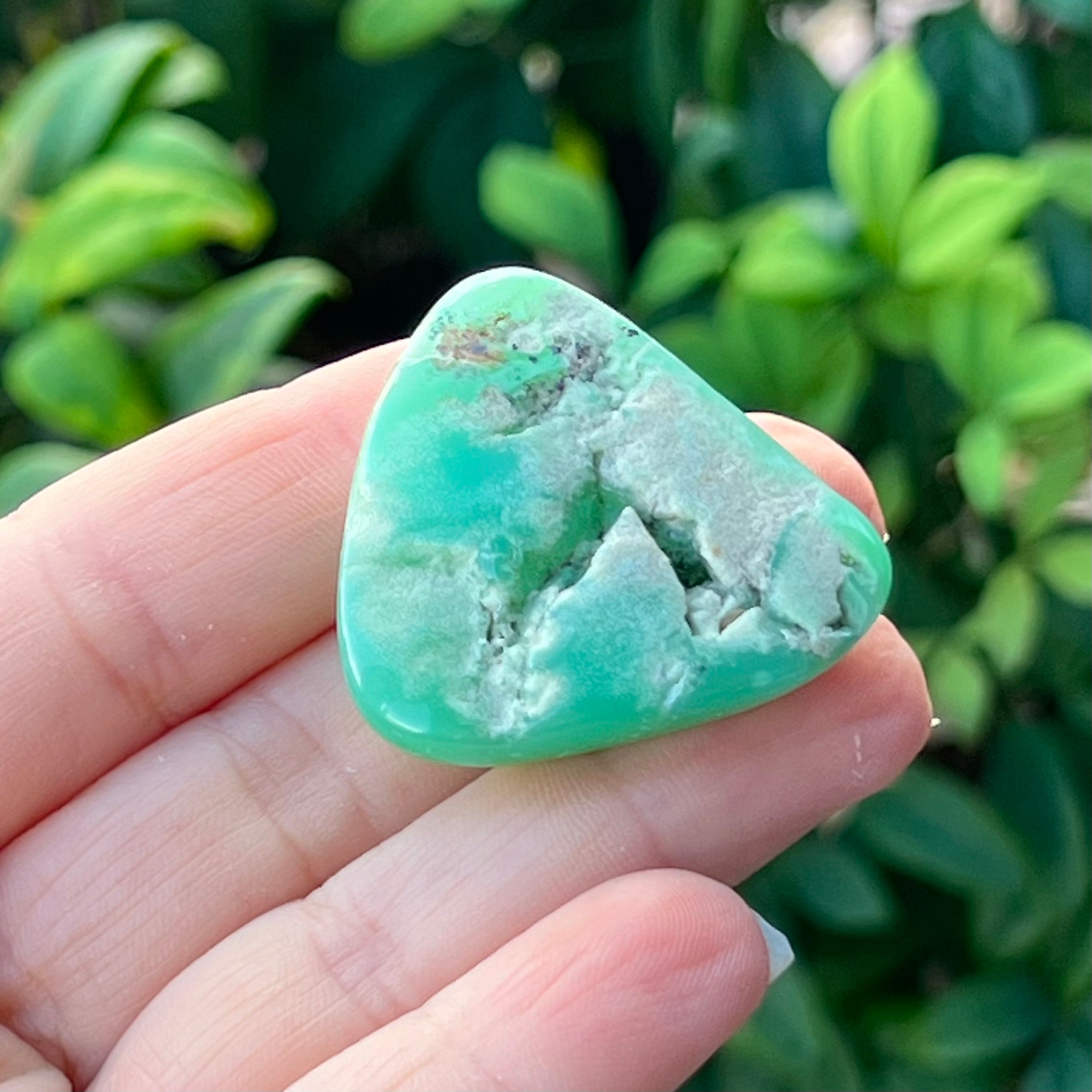 Chrysoprase ~ Specialty Crystal