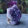 Amethyst Standing Cluster