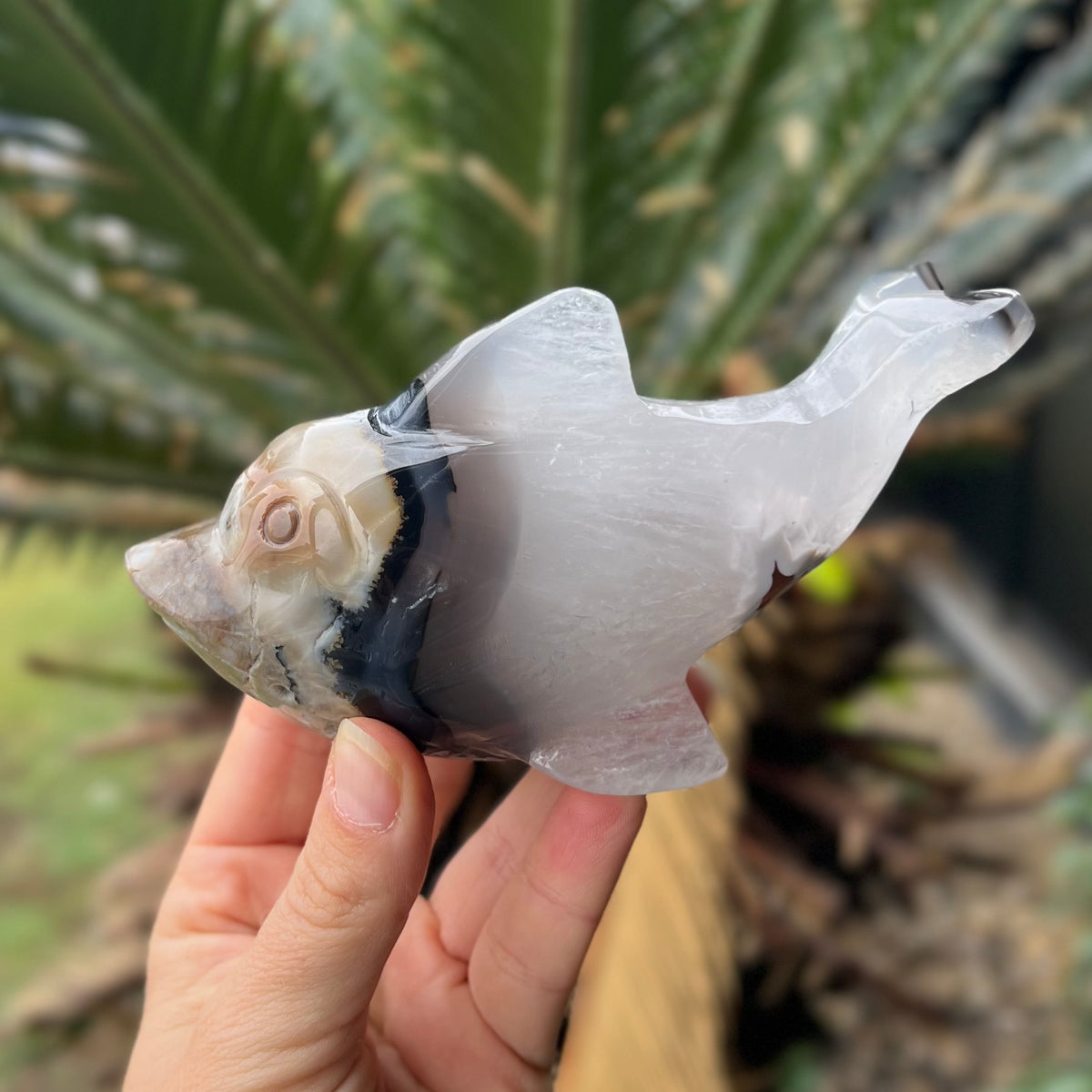 Agate Dolphin Carving