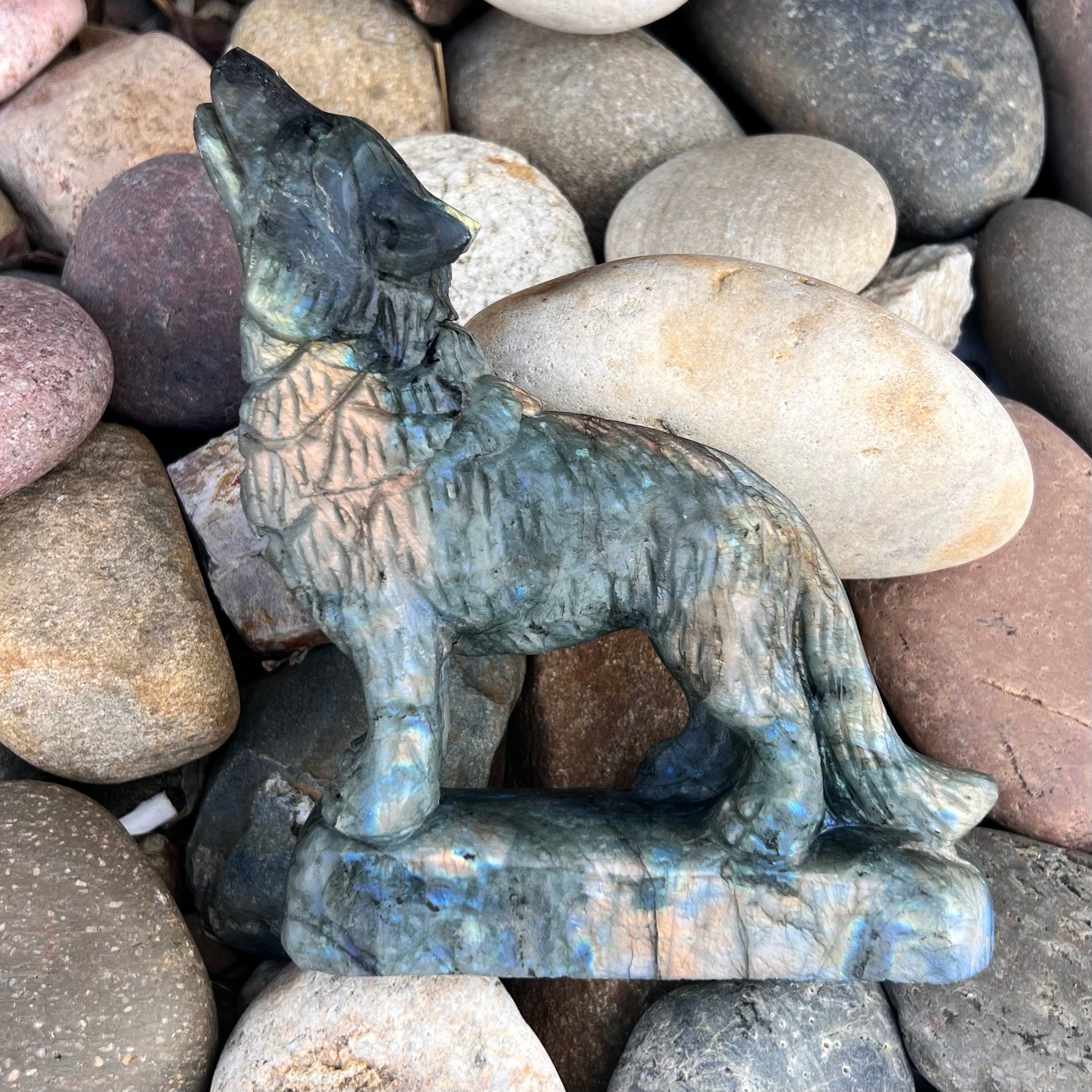 Labradorite ~ Wolf Carving ~ Medium