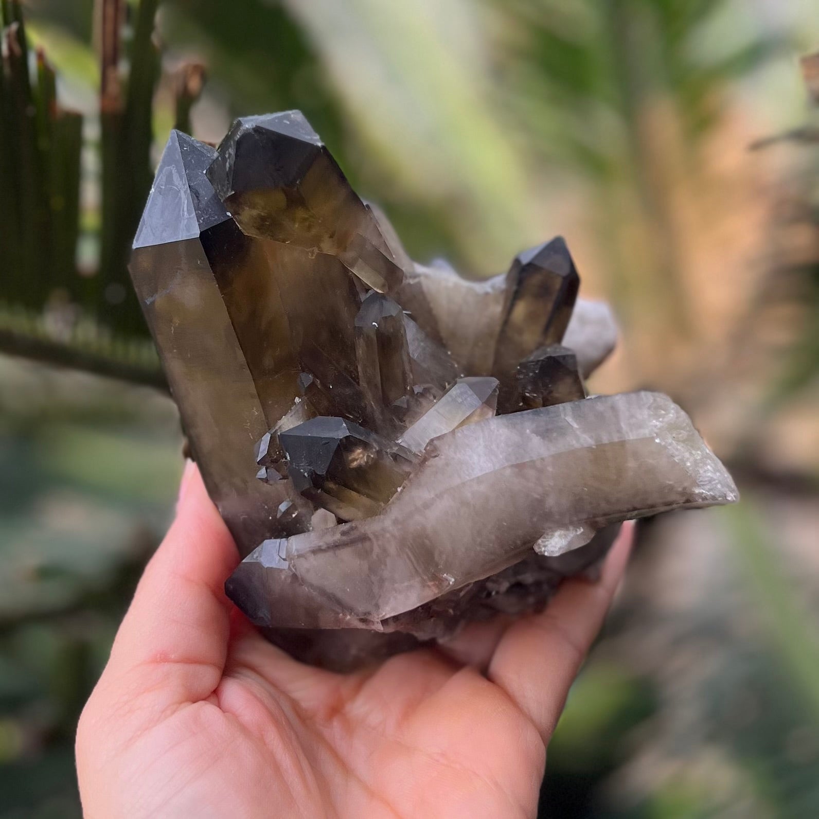 Smokey Quartz Cluster