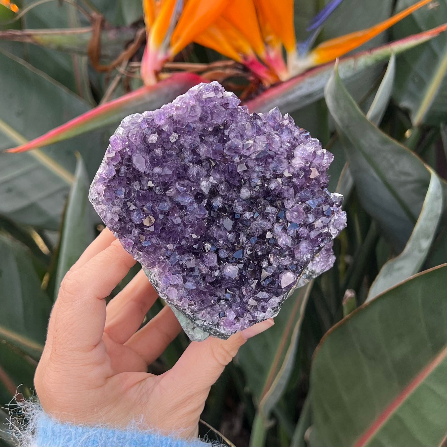 Gorgeous Amethyst Cluster