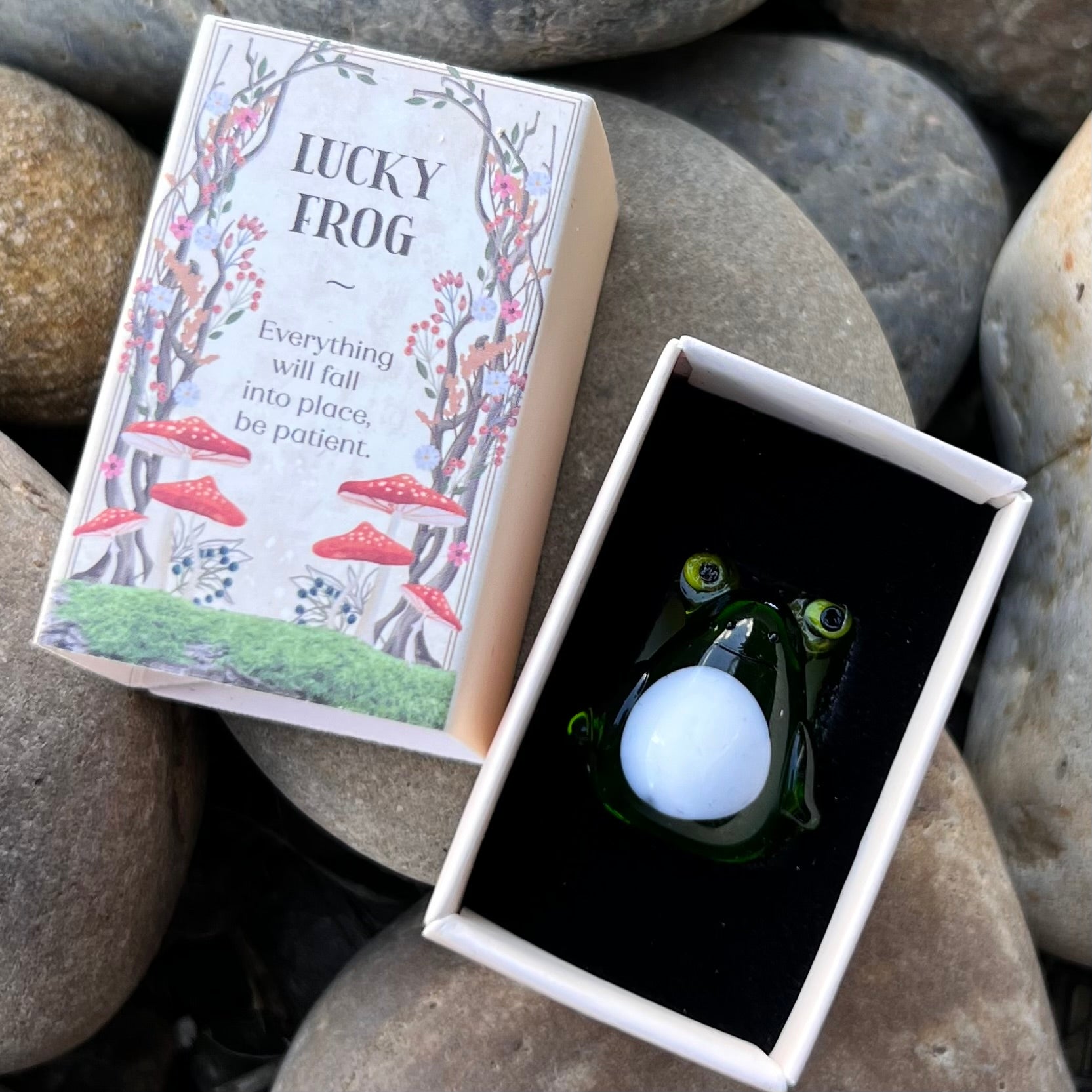 Little Lucky Frog  ~ In Box
