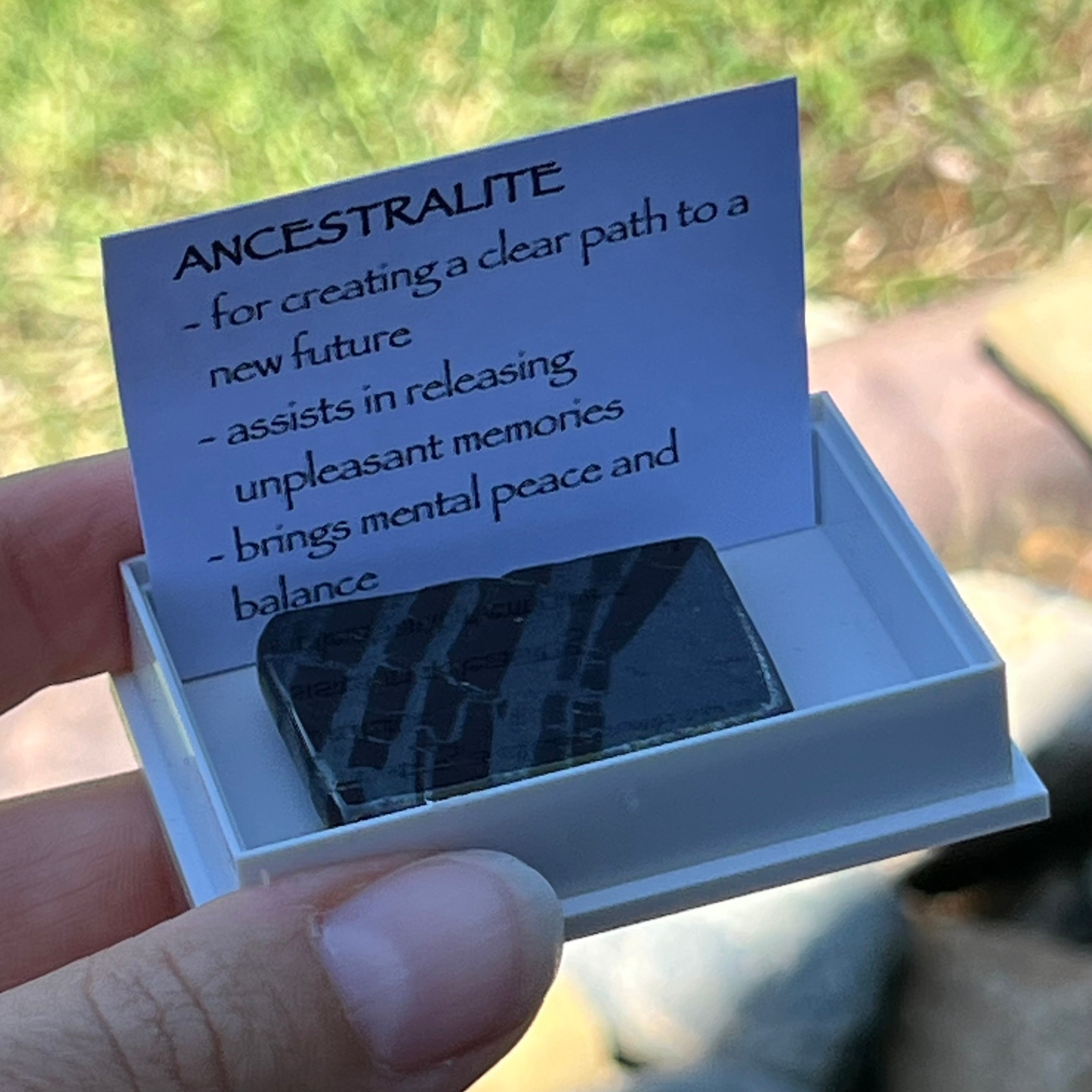Ancestralite ~ Specialty Boxed Crystal