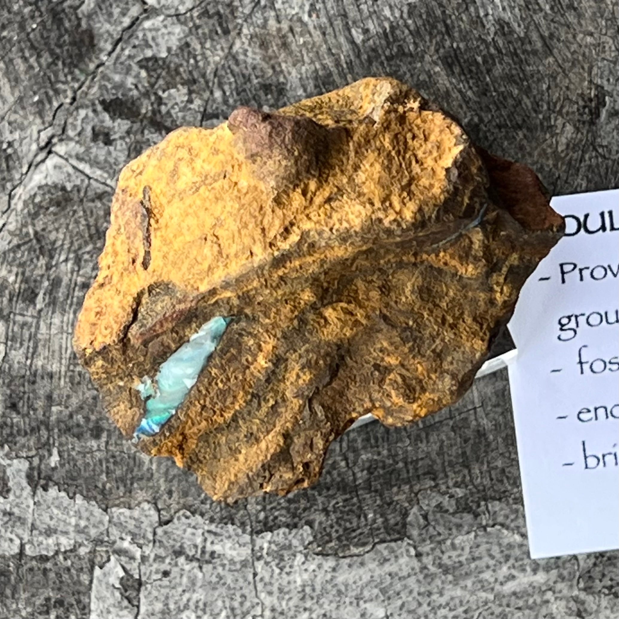 Boulder Opal Specimen ~ Specialty Boxed Crystal