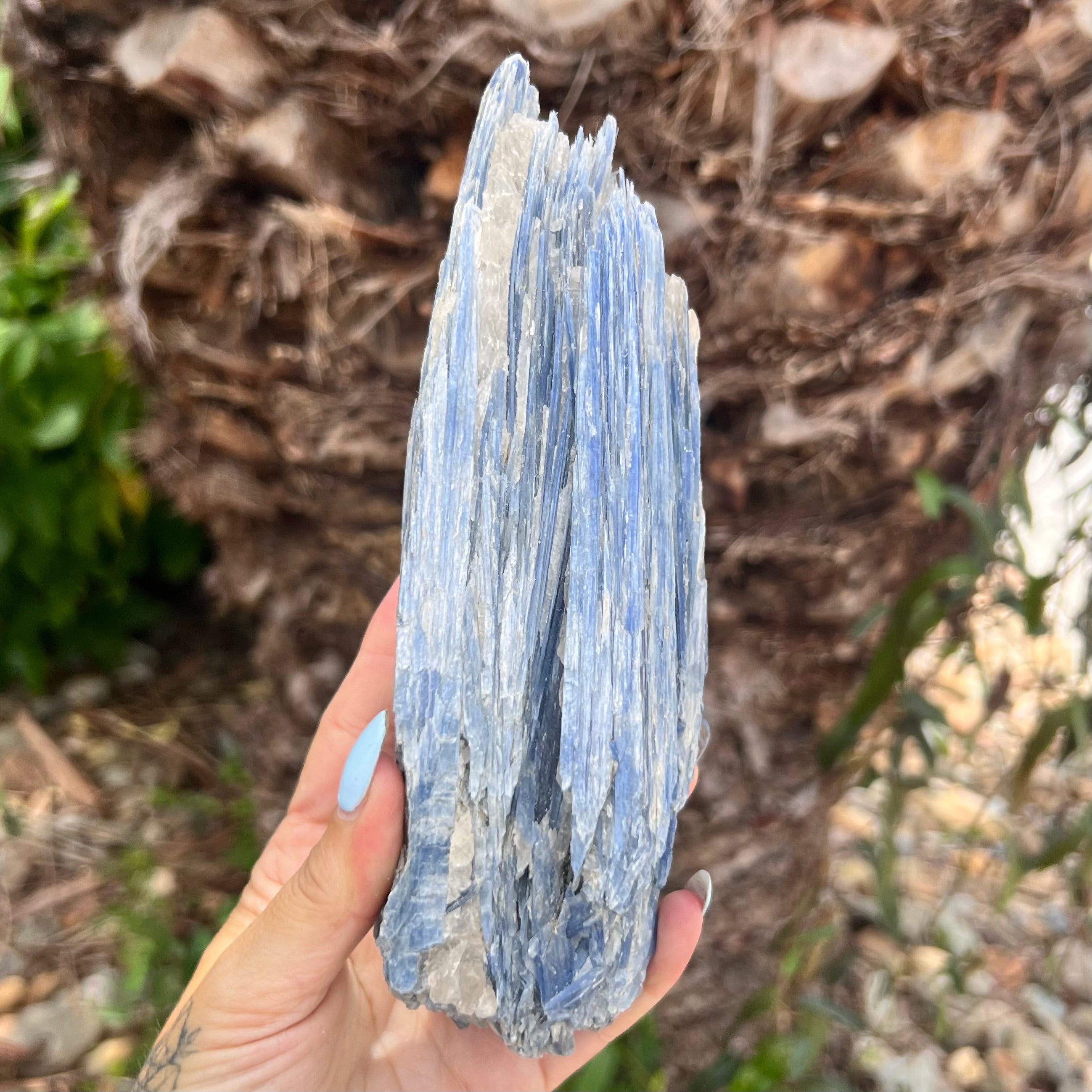 Natural Blue Kyanite with Quartz