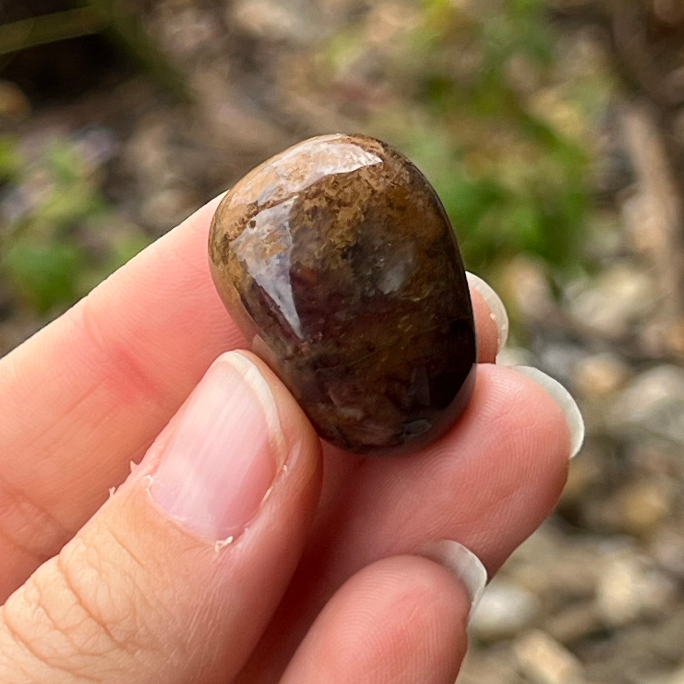 Pietersite ~ Specialty Boxed Crystal