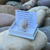 Witches Finger ~ Specialty Boxed Crystal