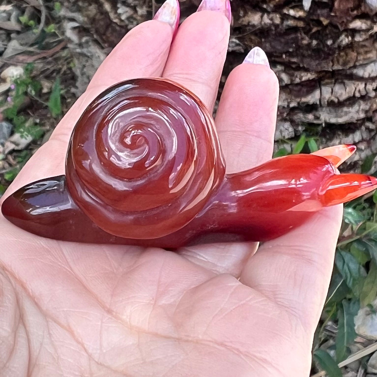 Carnelian ~ Snail of Courage