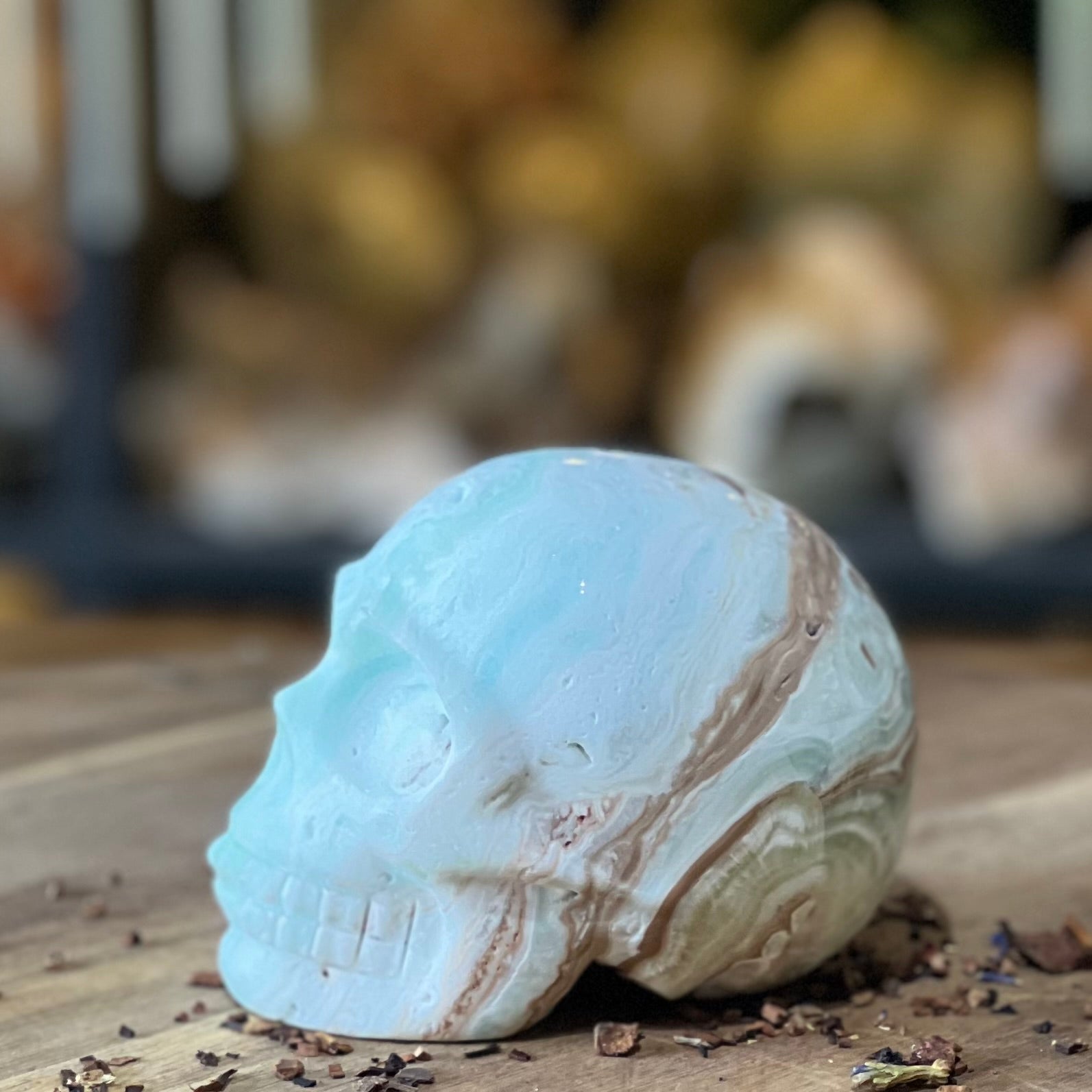 Caribbean Calcite Skull Carving