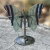 Rainbow Fluorite Butterfly Carving