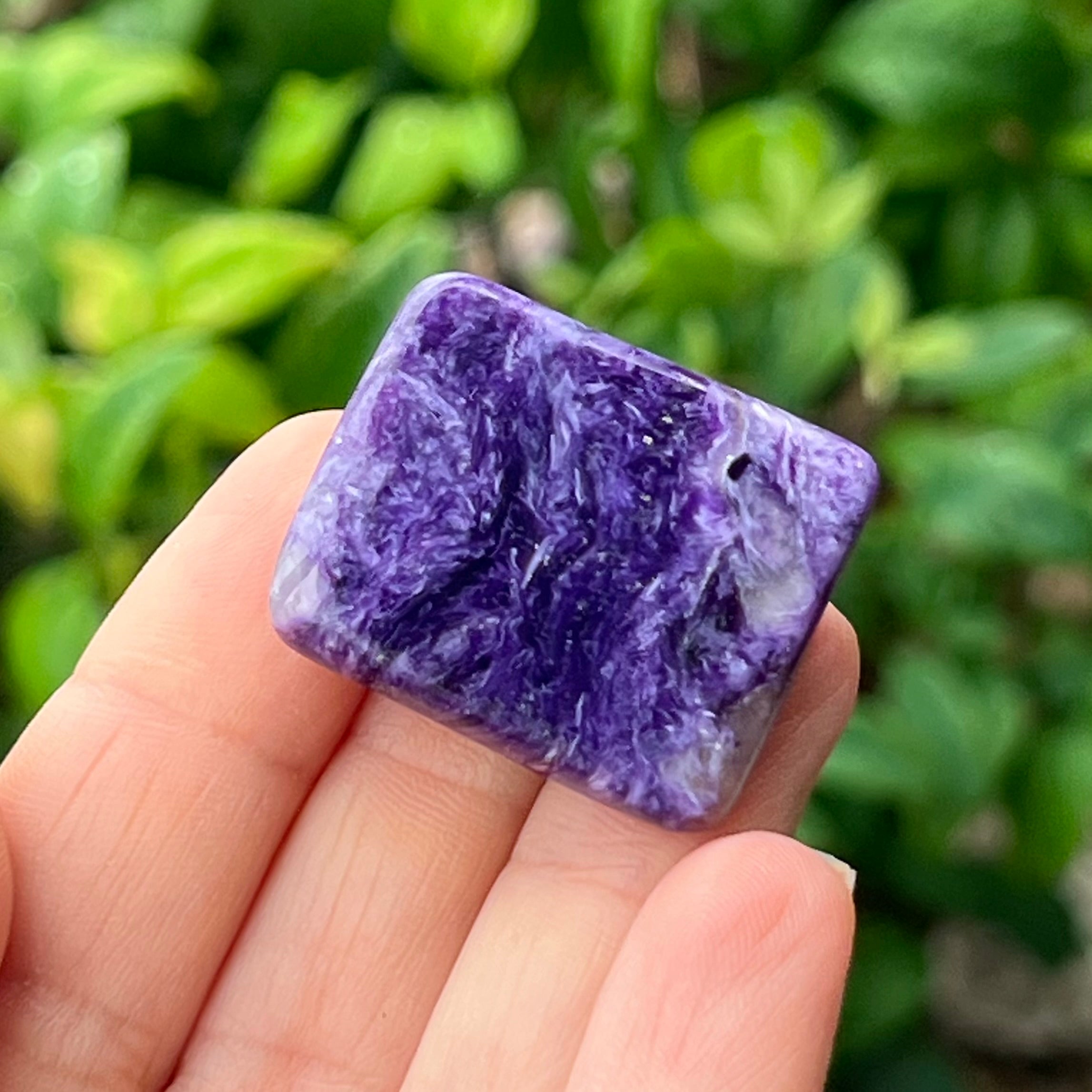 Chariote ~ Specialty Boxed Crystal
