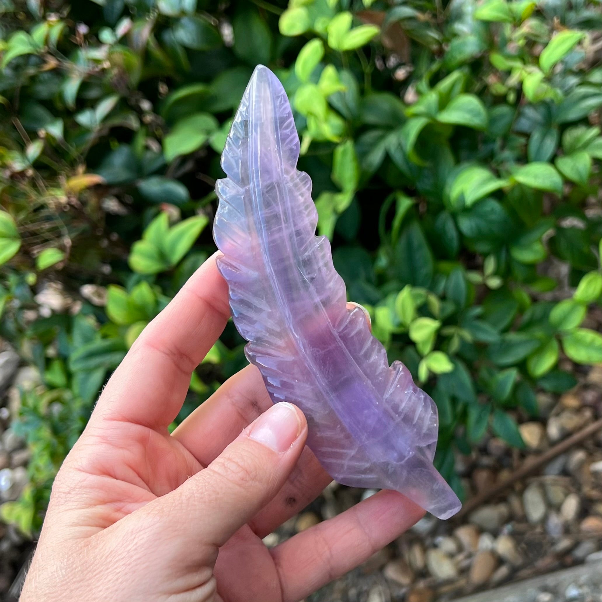 Purple Fluorite ~ Feather Carving