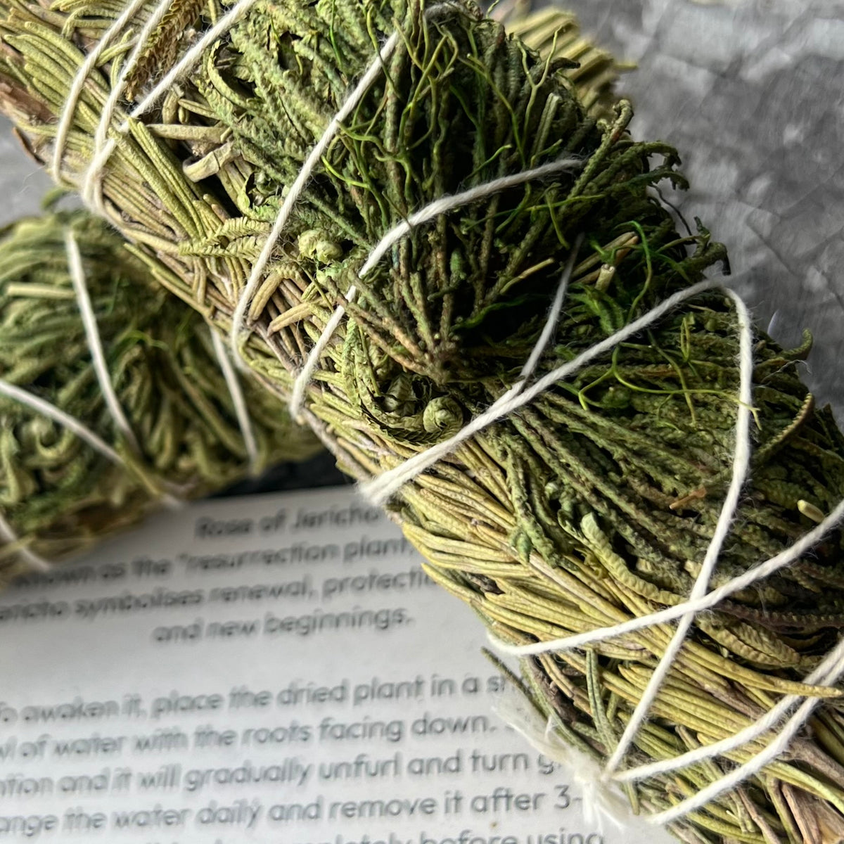 Rose of Jericho ~ Smudge Stick