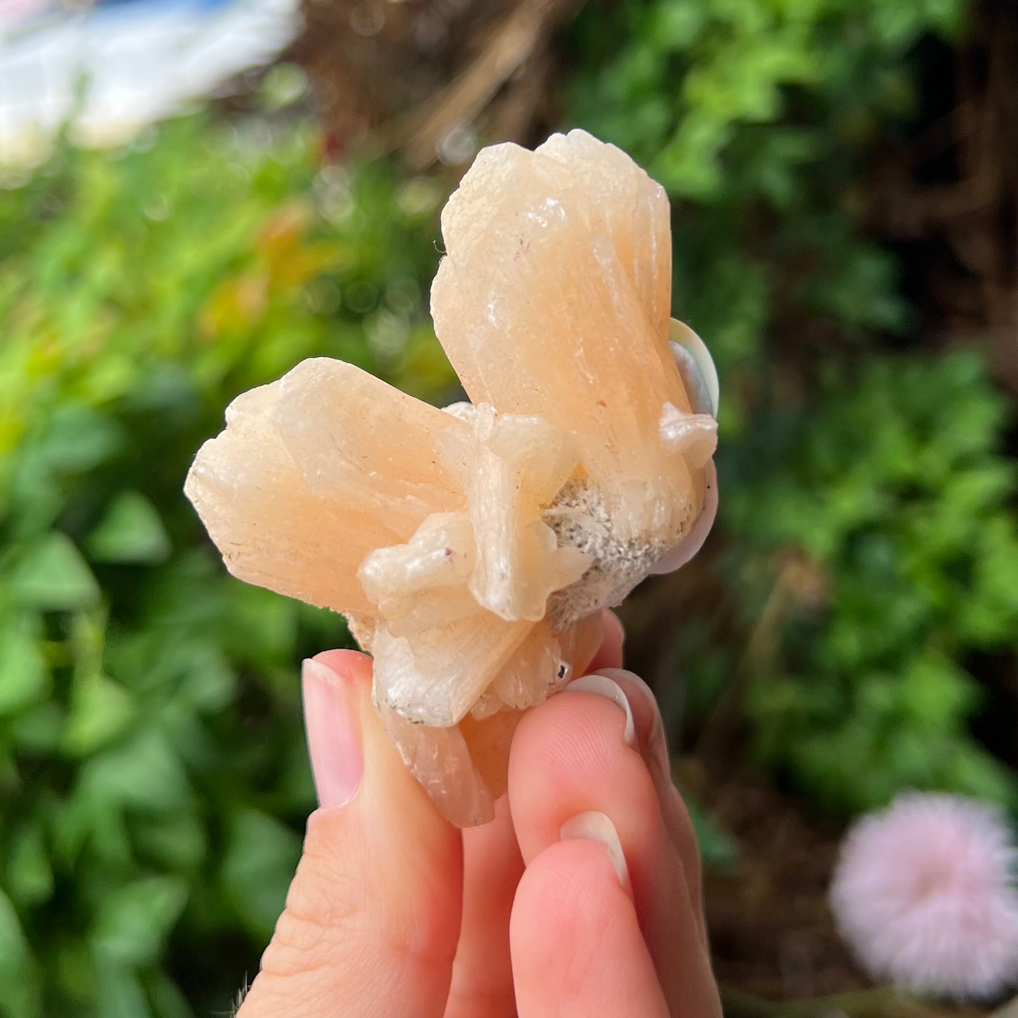 Calcite ~ Specialty Crystal