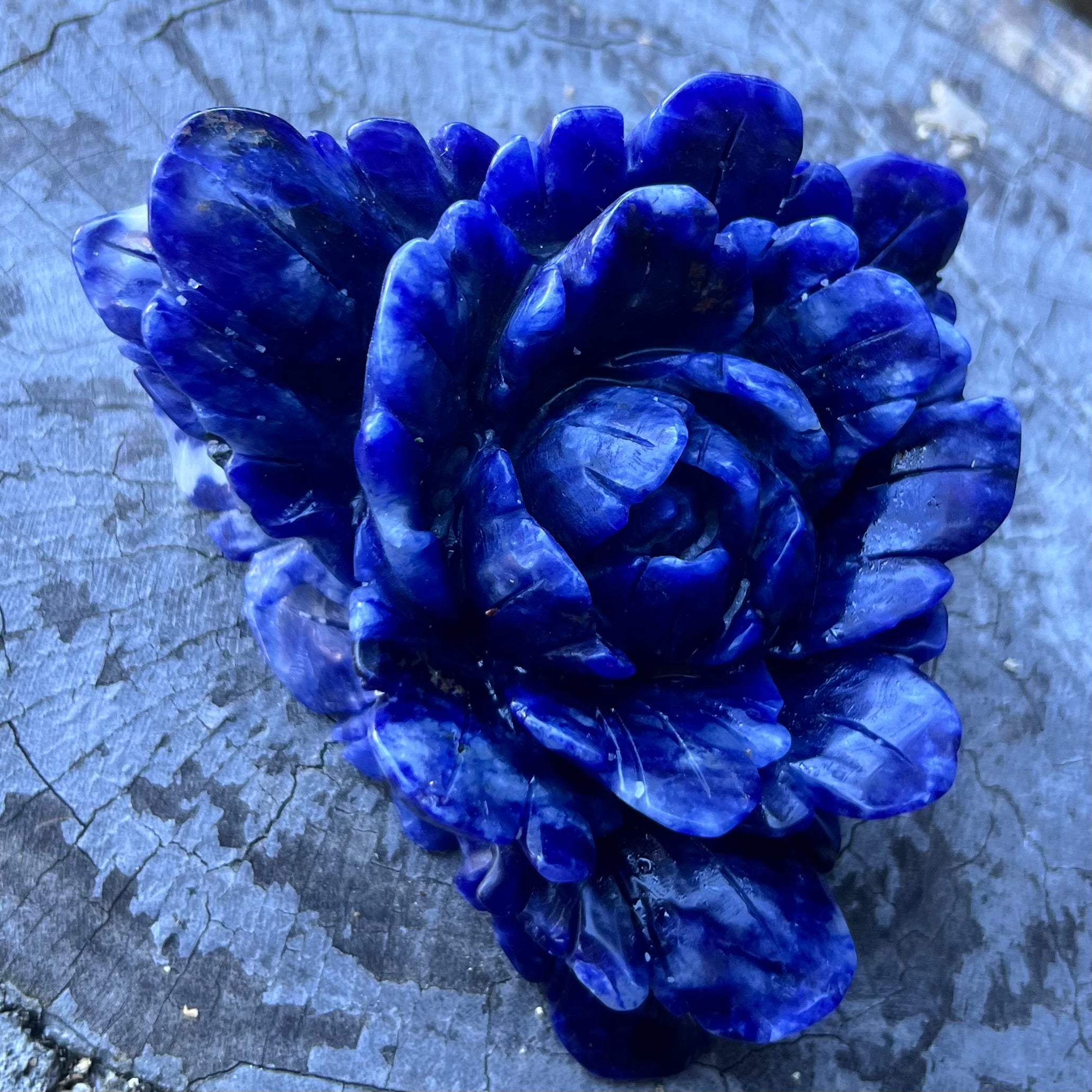 Sodalite ~ Rose Carving