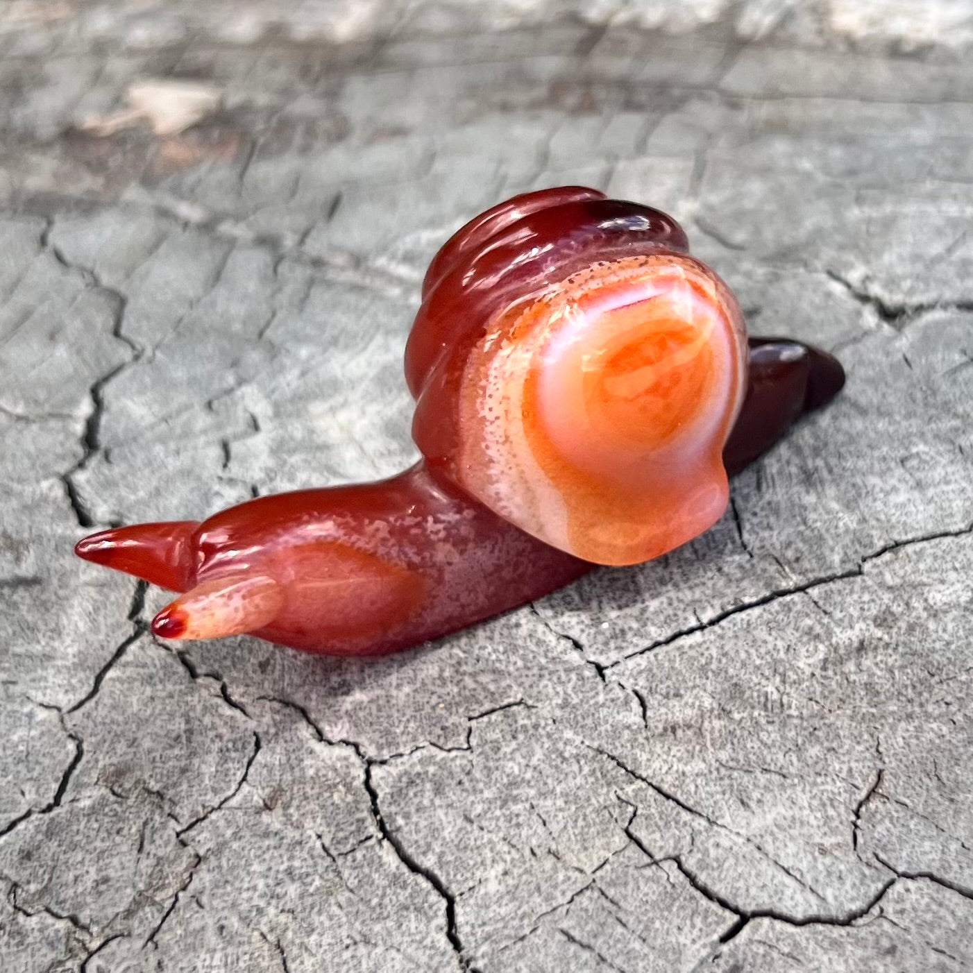 Carnelian ~ Snail of Courage