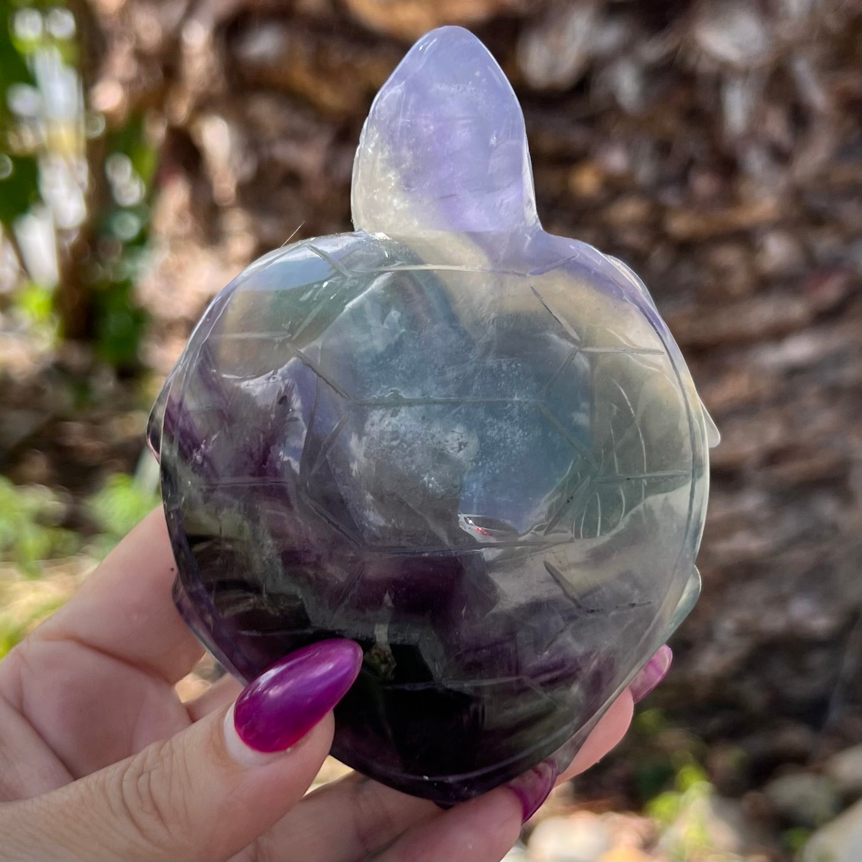 Rainbow Fluorite Turtle Carving