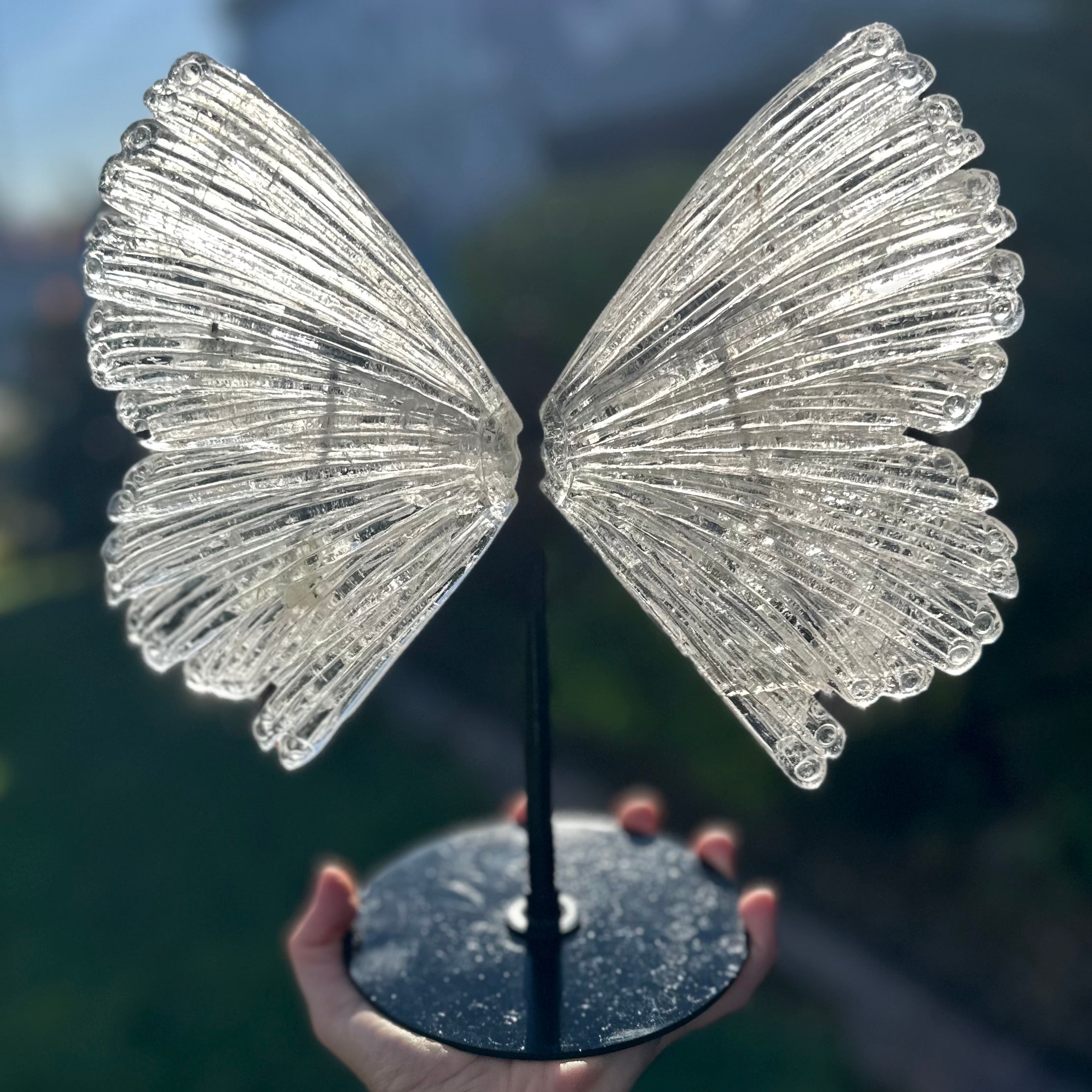 Clear Quartz Butterfly on Stand