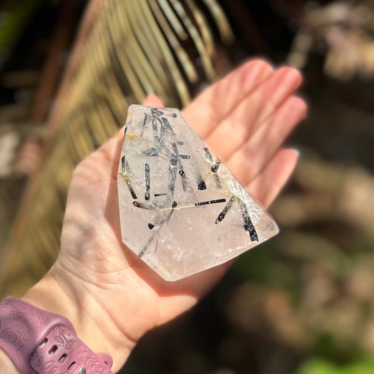 Black Tourmaline in Quartz Freeform