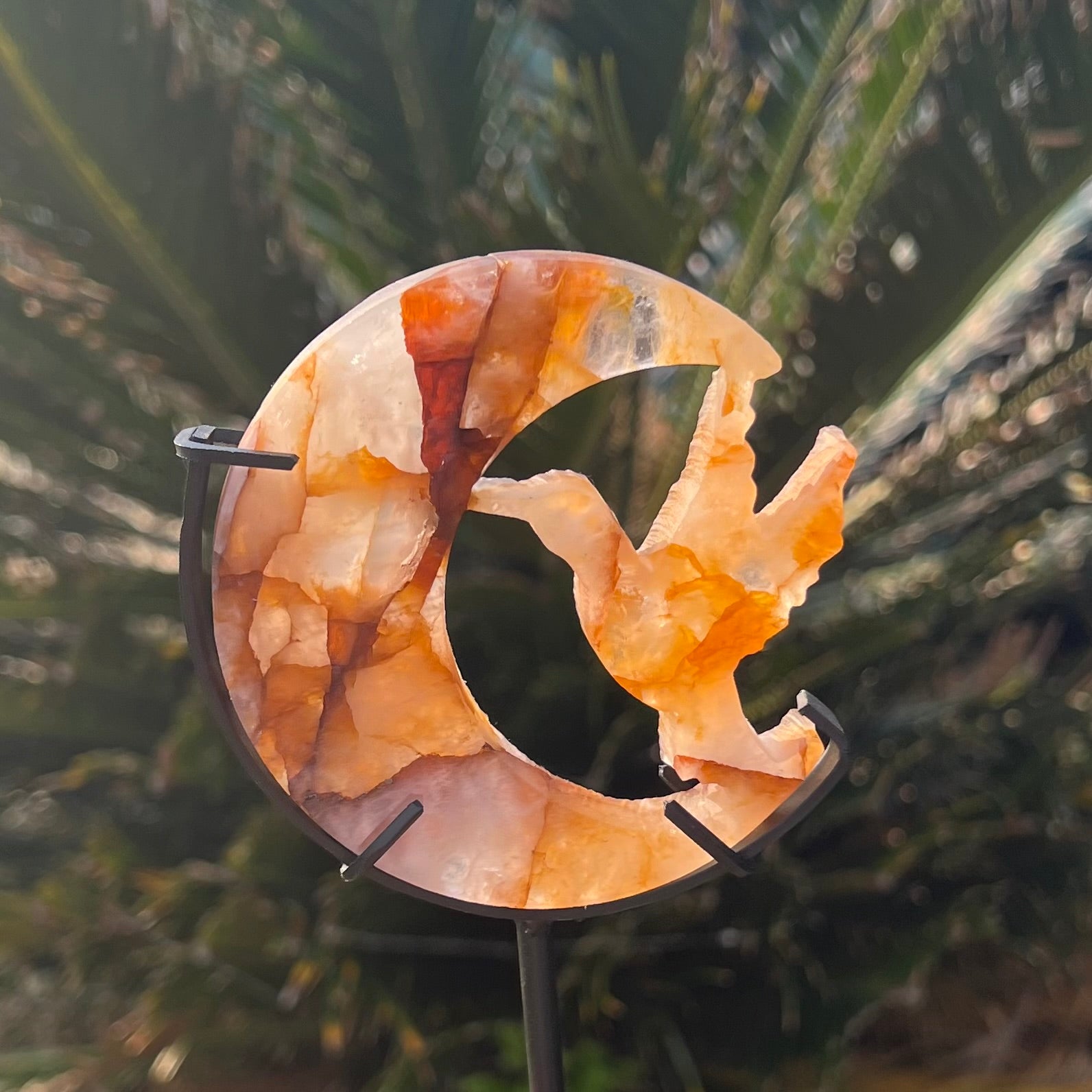 Humming Bird and Moon Carving ~ Golden Healer