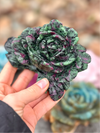 Crystal Rose Carving - Ruby in Zoisite