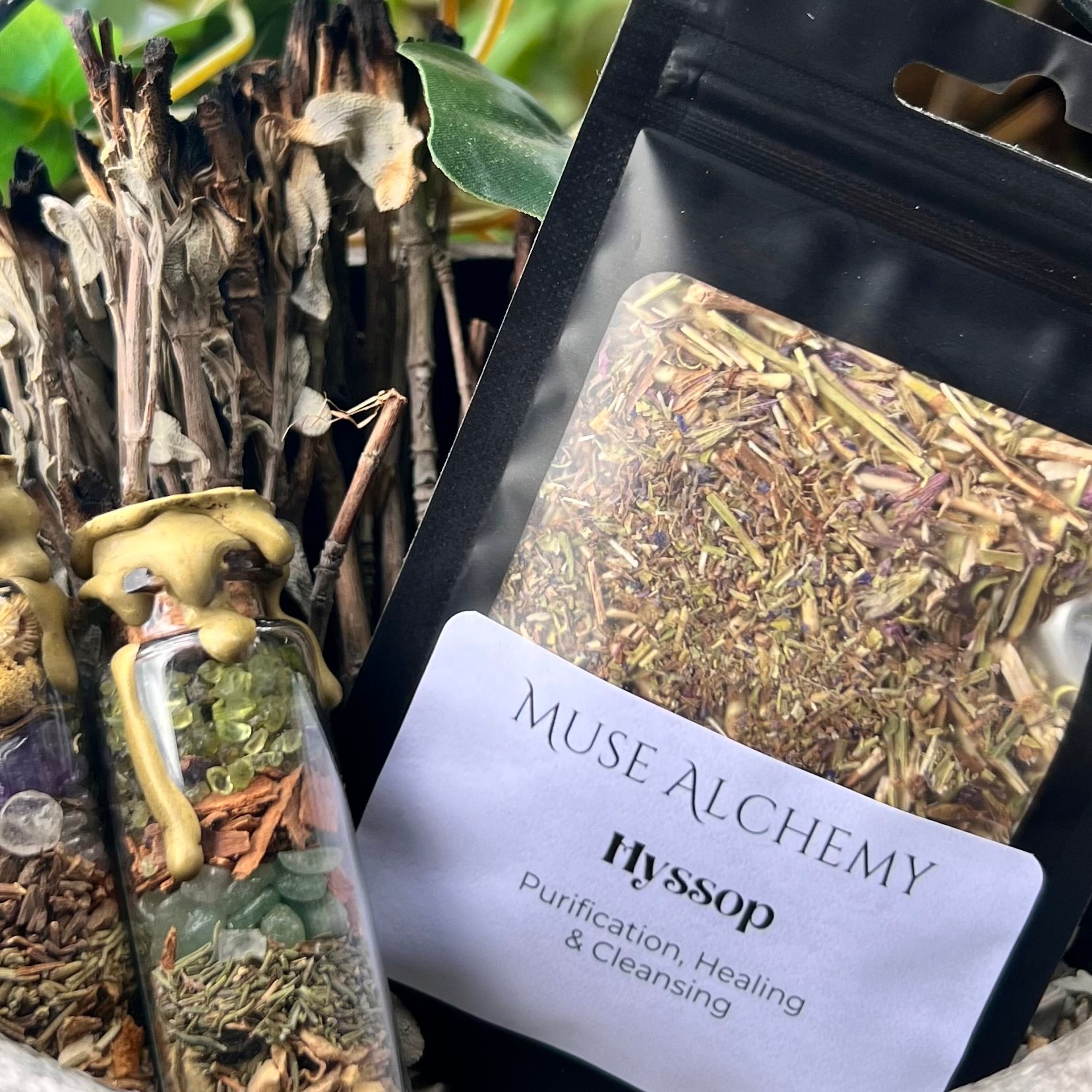 Hyssop ~ Muse Alchemy Botanicals
