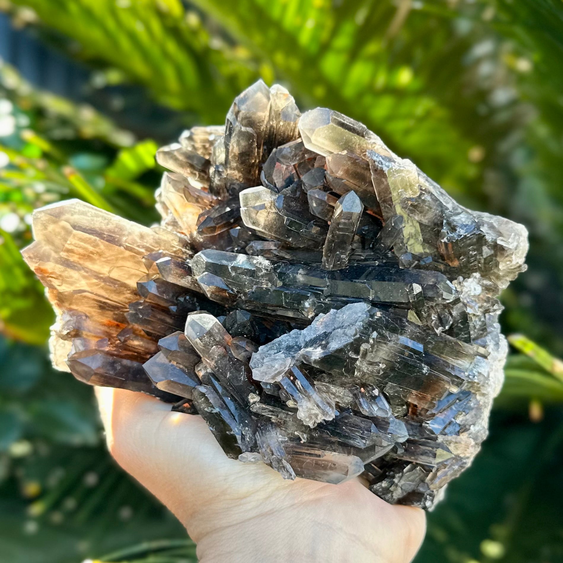 Smoky Quartz Natural Raw Cluster