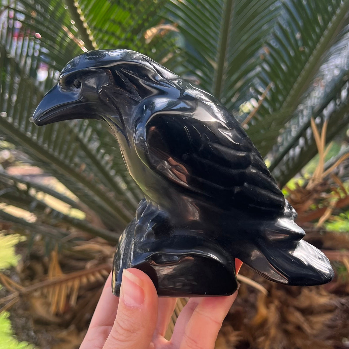 Raven Carving ~ Black Obsidian