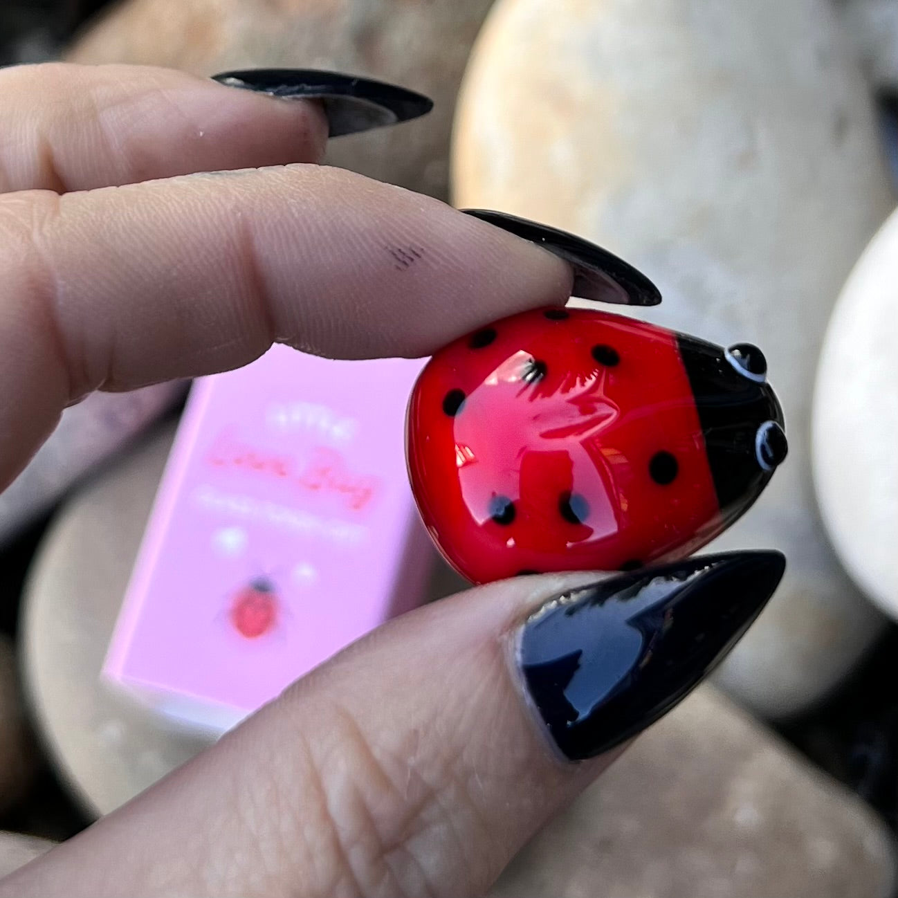 Little Love Bug ~ In Box